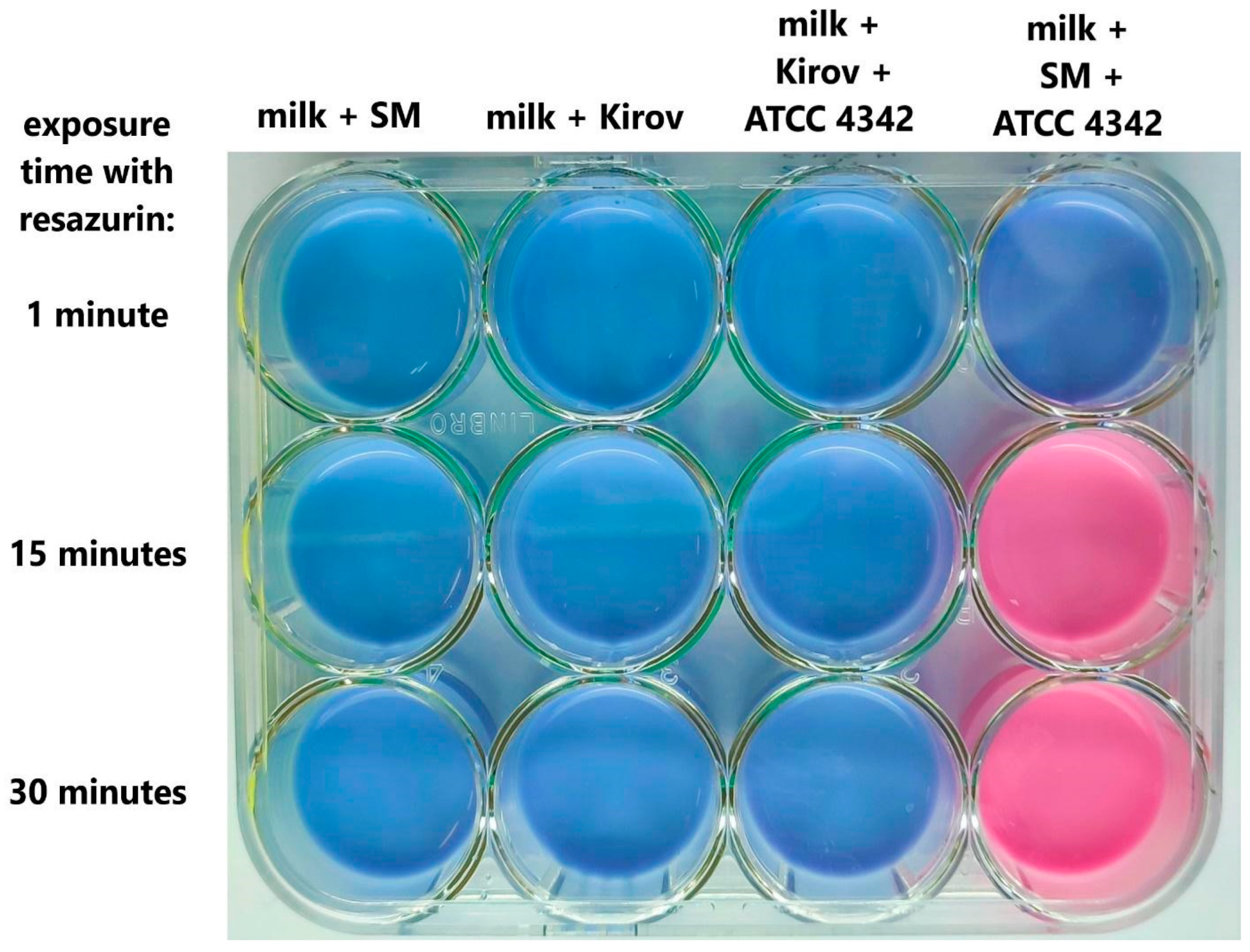 Ijms 24 12584 g010 Ijms 24 12584 g010