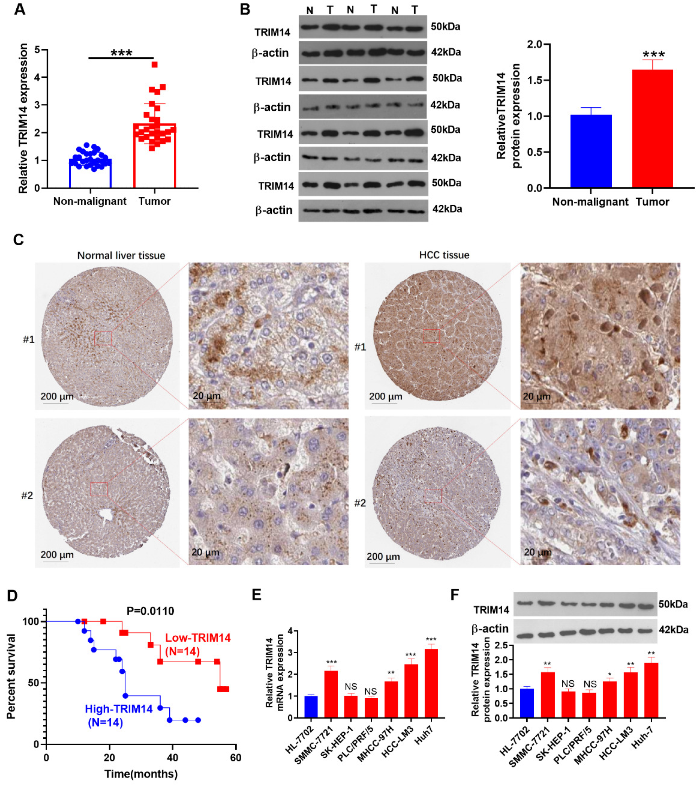 Ijms 24 12589 g001 Ijms 24 12589 g001