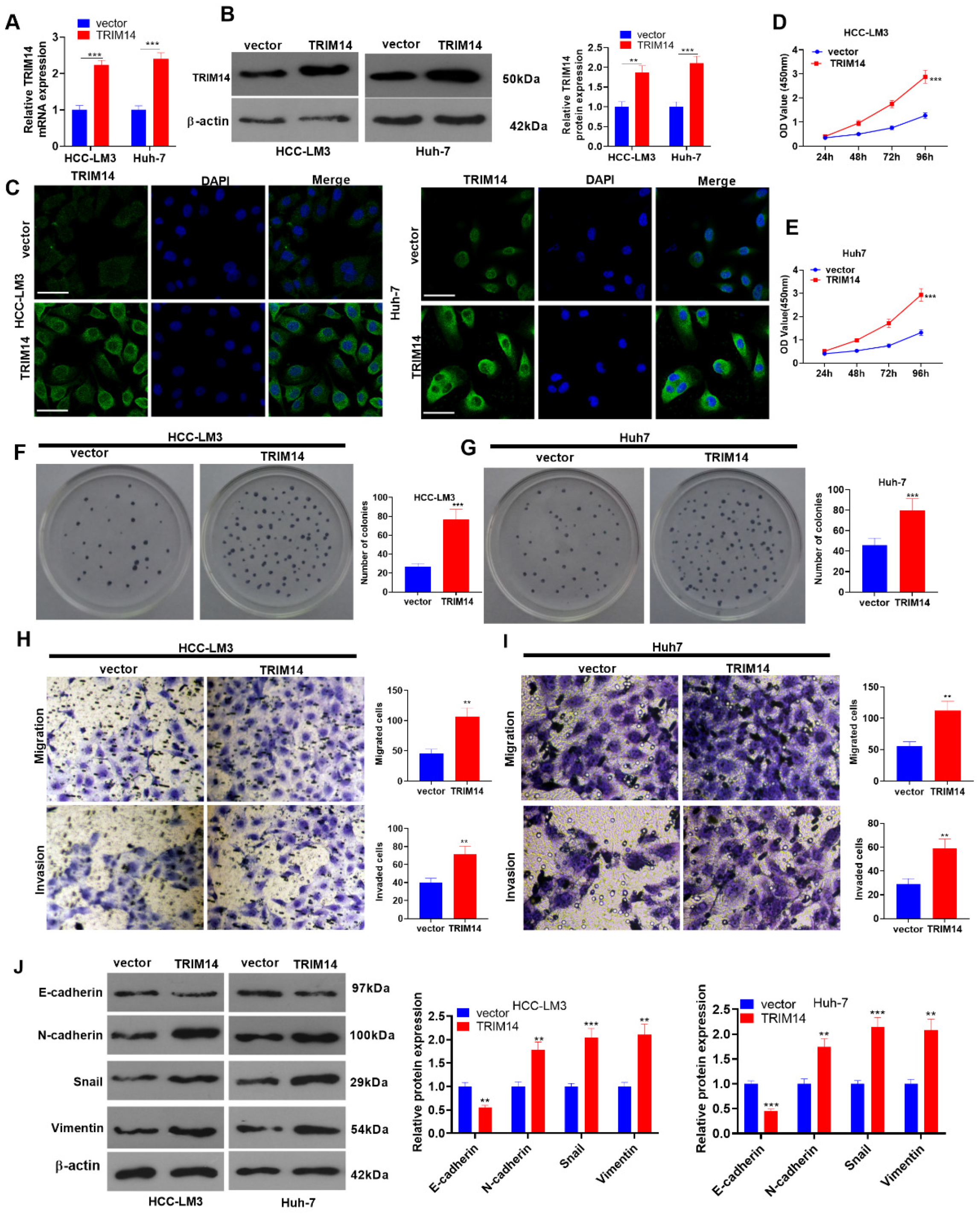 Ijms 24 12589 g002 Ijms 24 12589 g002
