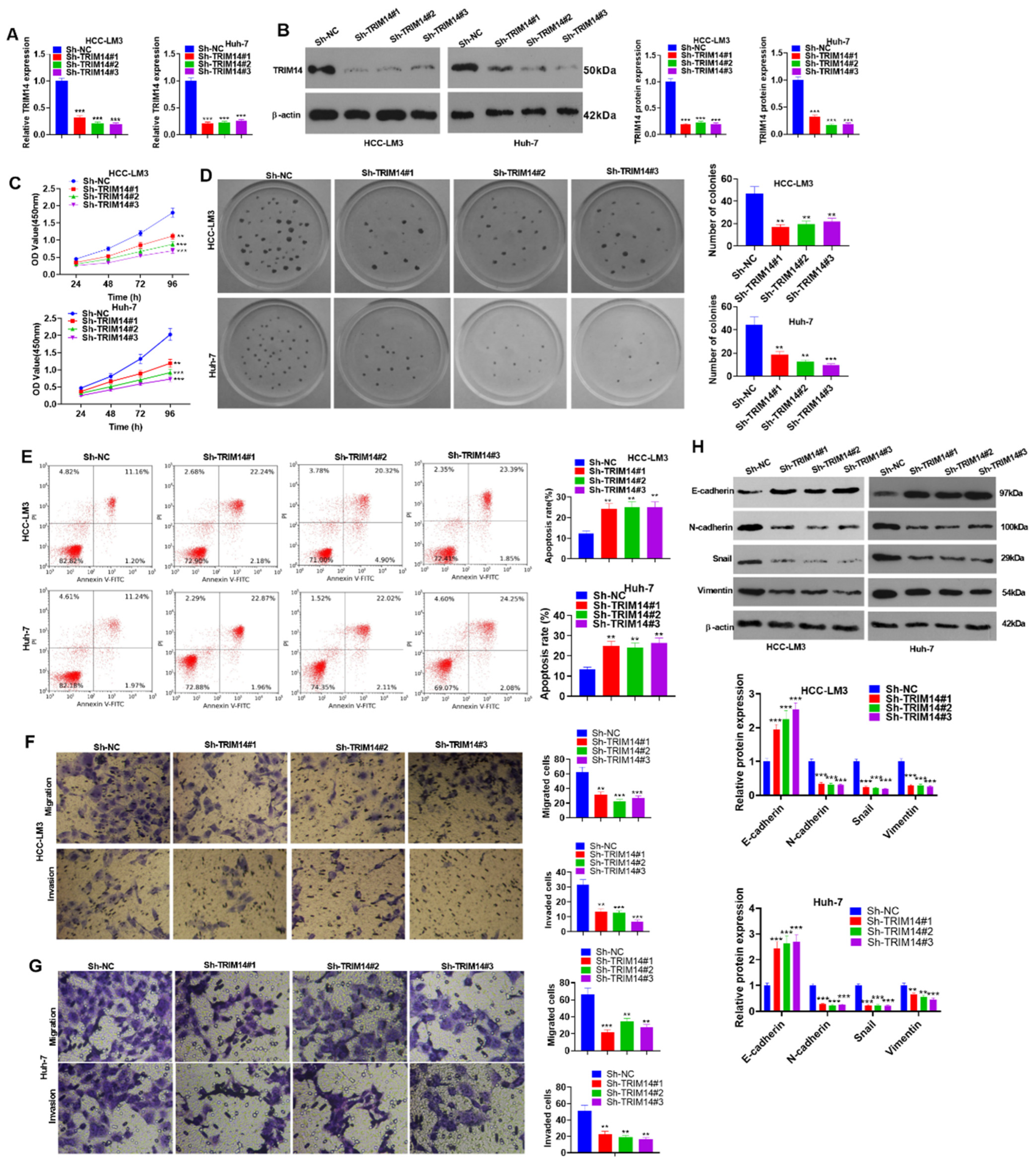 Ijms 24 12589 g004 Ijms 24 12589 g004