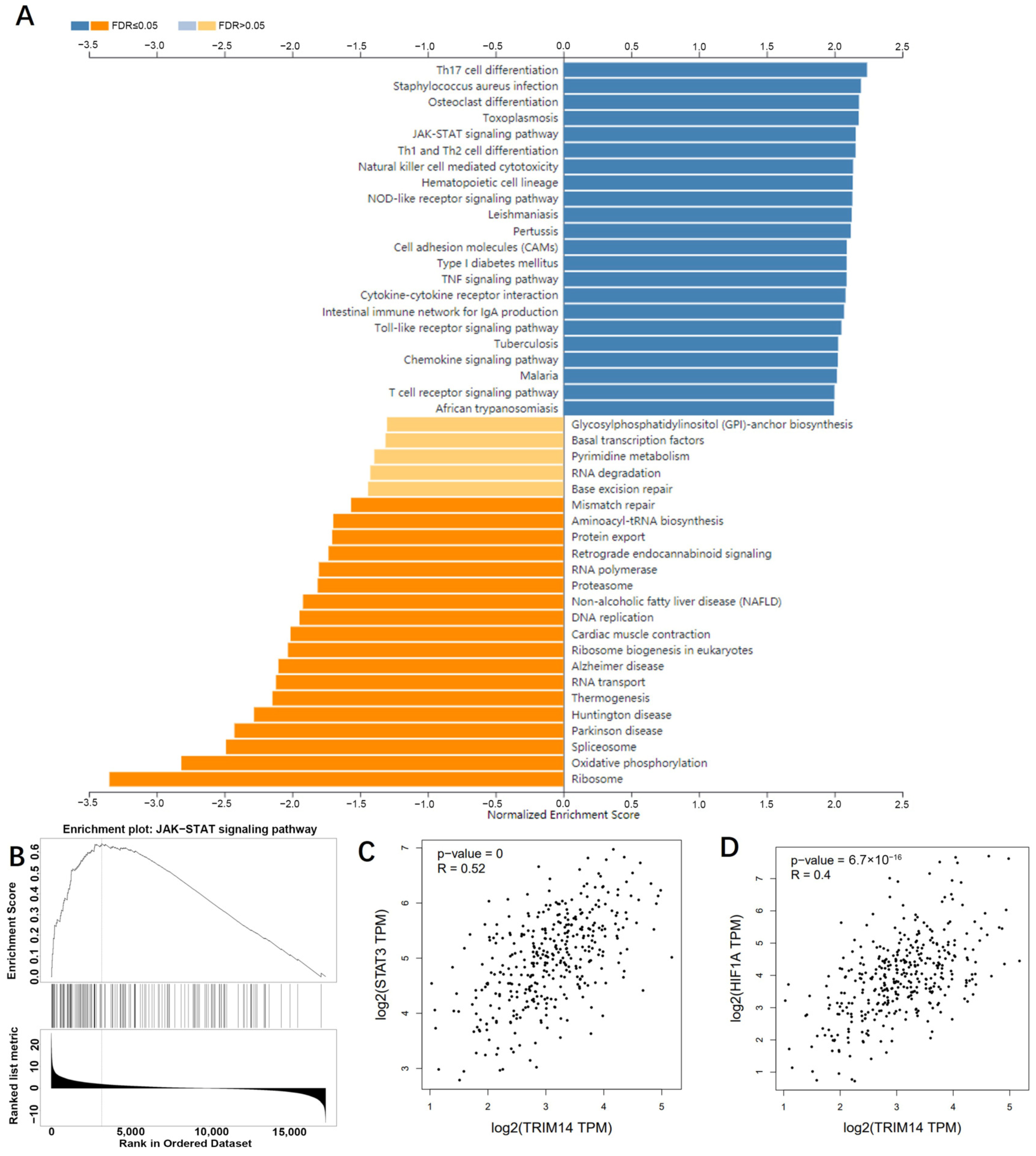 Ijms 24 12589 g007 Ijms 24 12589 g007