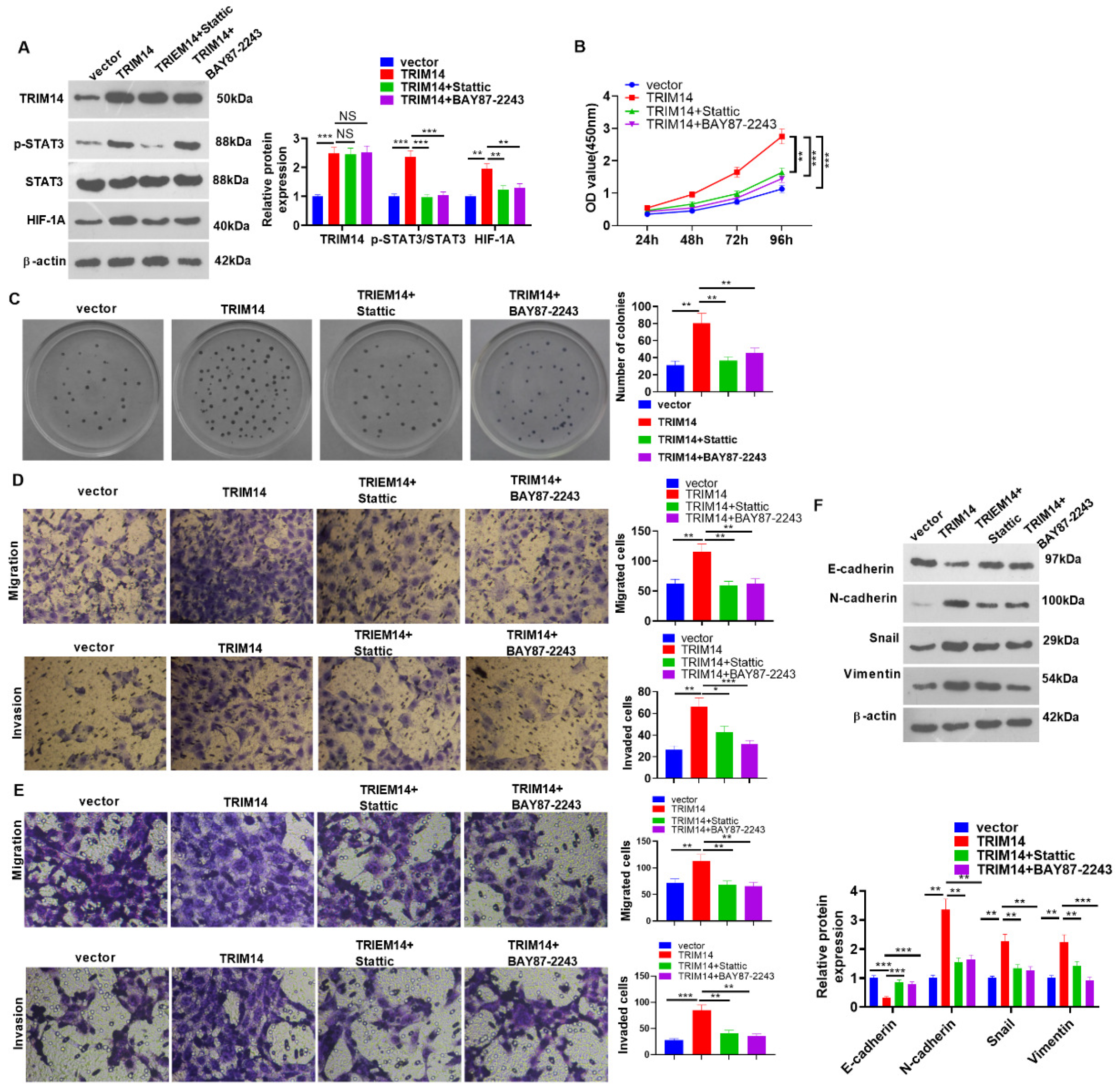 Ijms 24 12589 g009 Ijms 24 12589 g009