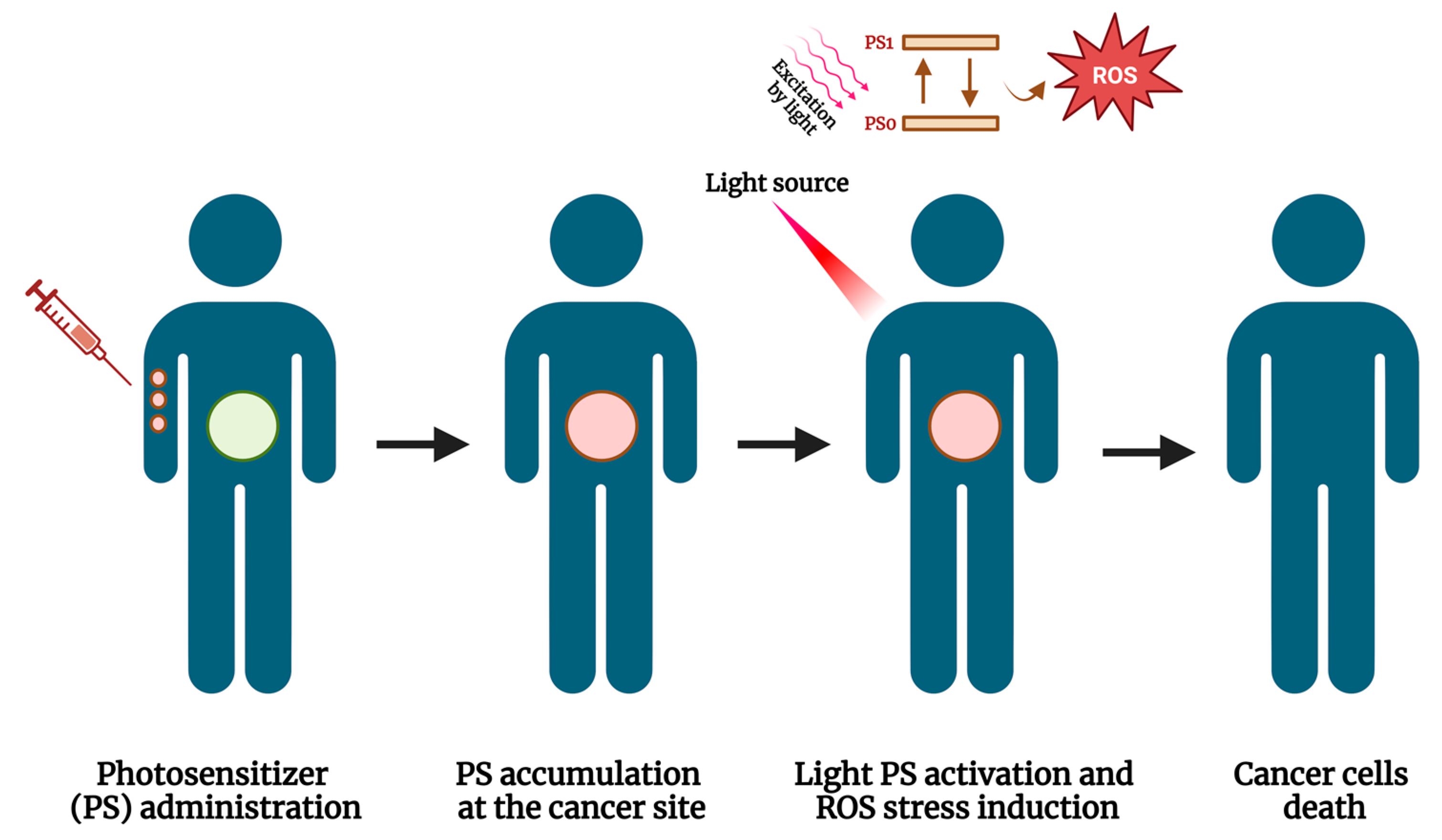 Ijms 24 12596 g005 Ijms 24 12596 g005