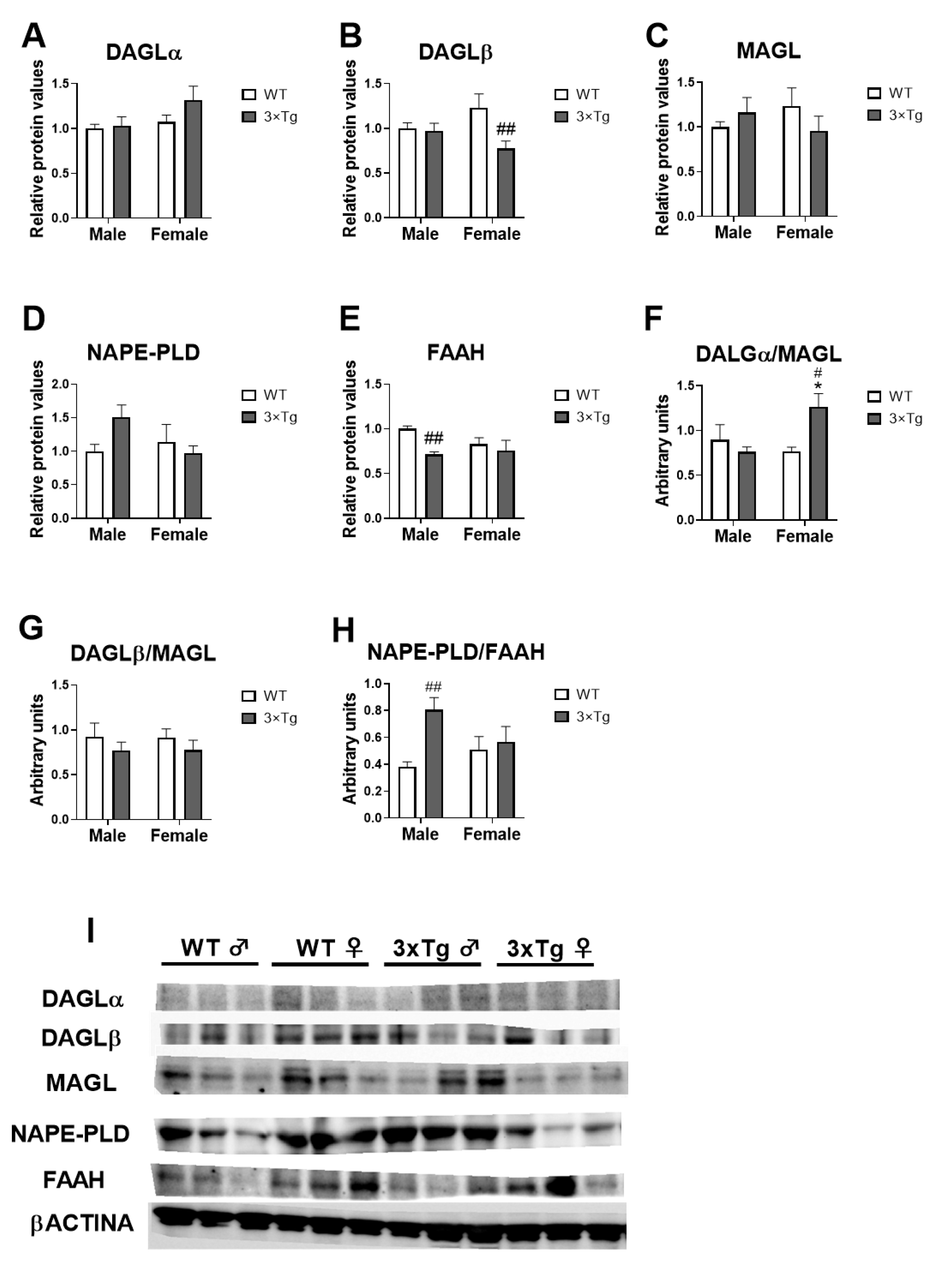 Ijms 24 12598 g004 Ijms 24 12598 g004