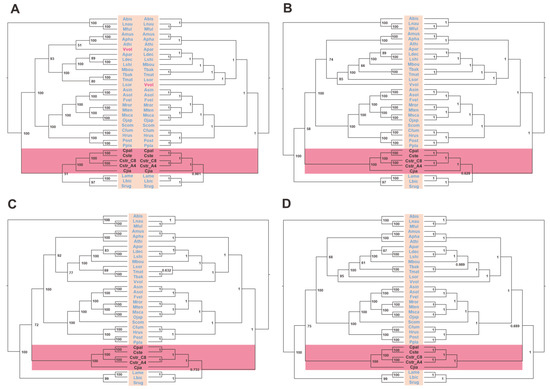 The First Five Mitochondrial Genomes for the Family Nidulariaceae