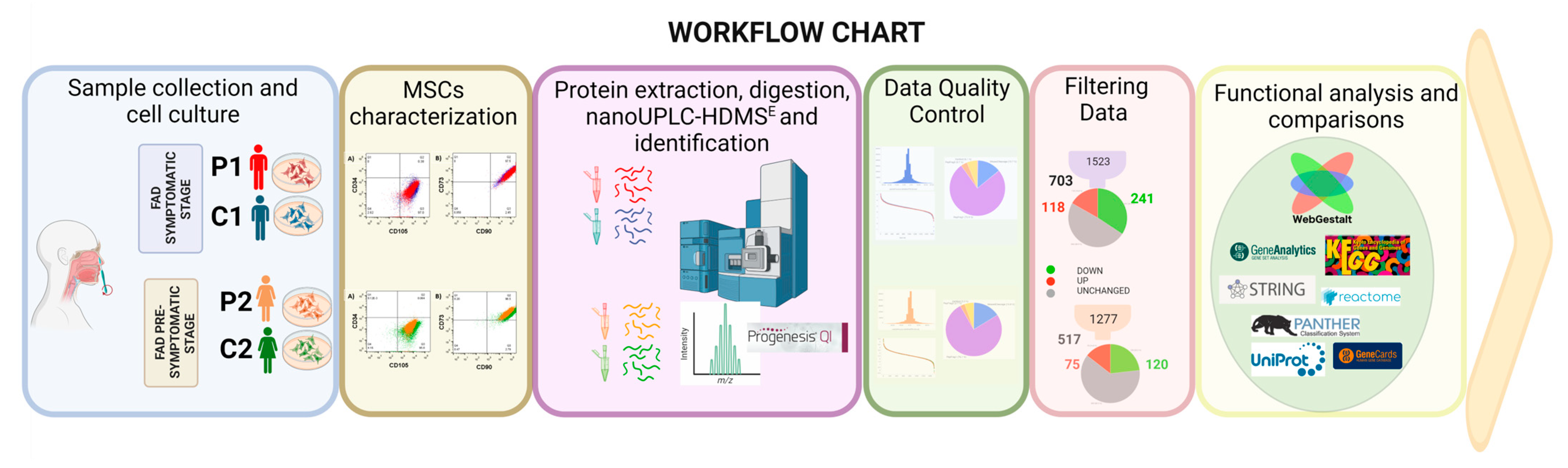 Ijms 24 12606 g001 Ijms 24 12606 g001