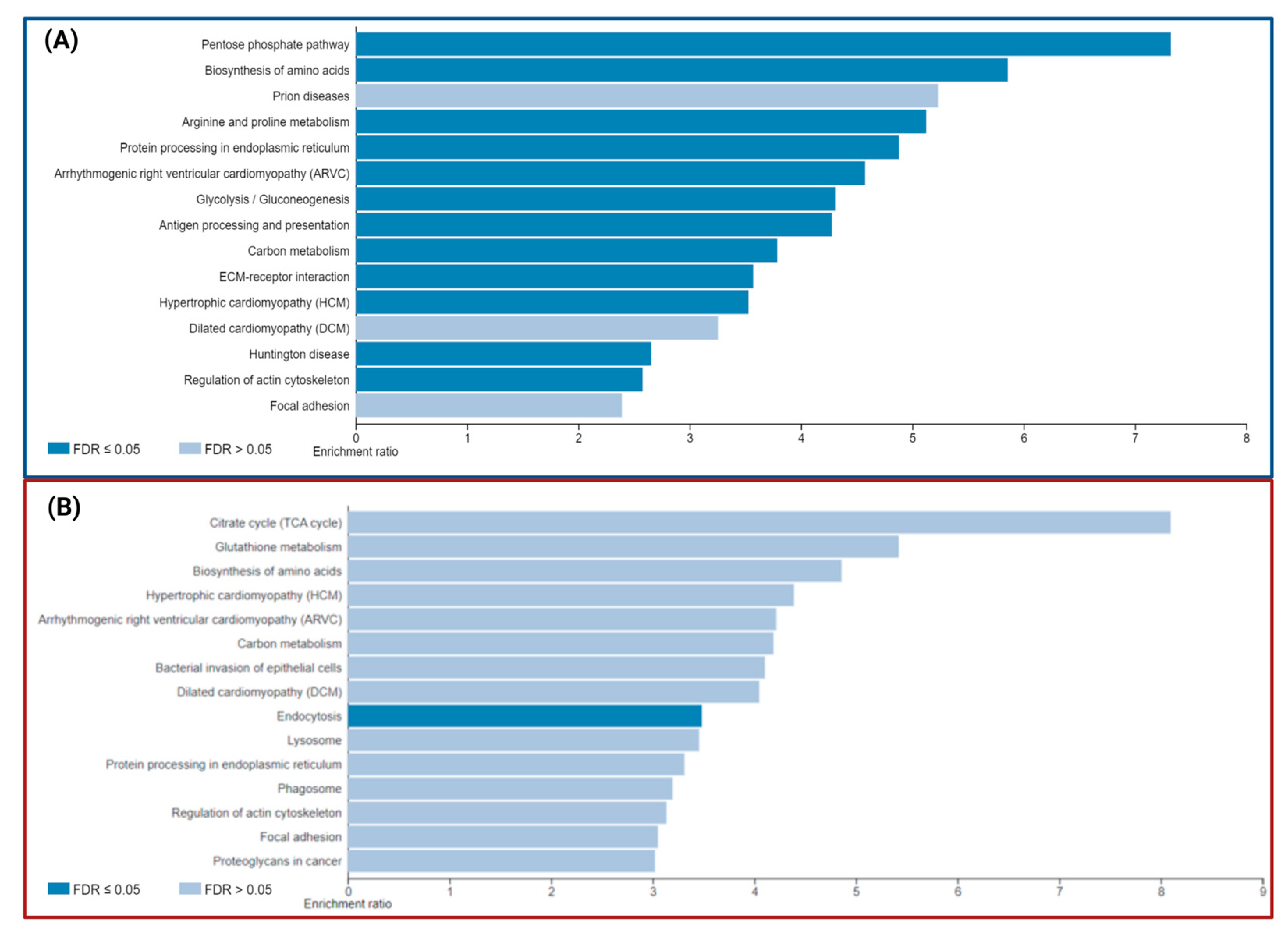 Ijms 24 12606 g006 Ijms 24 12606 g006