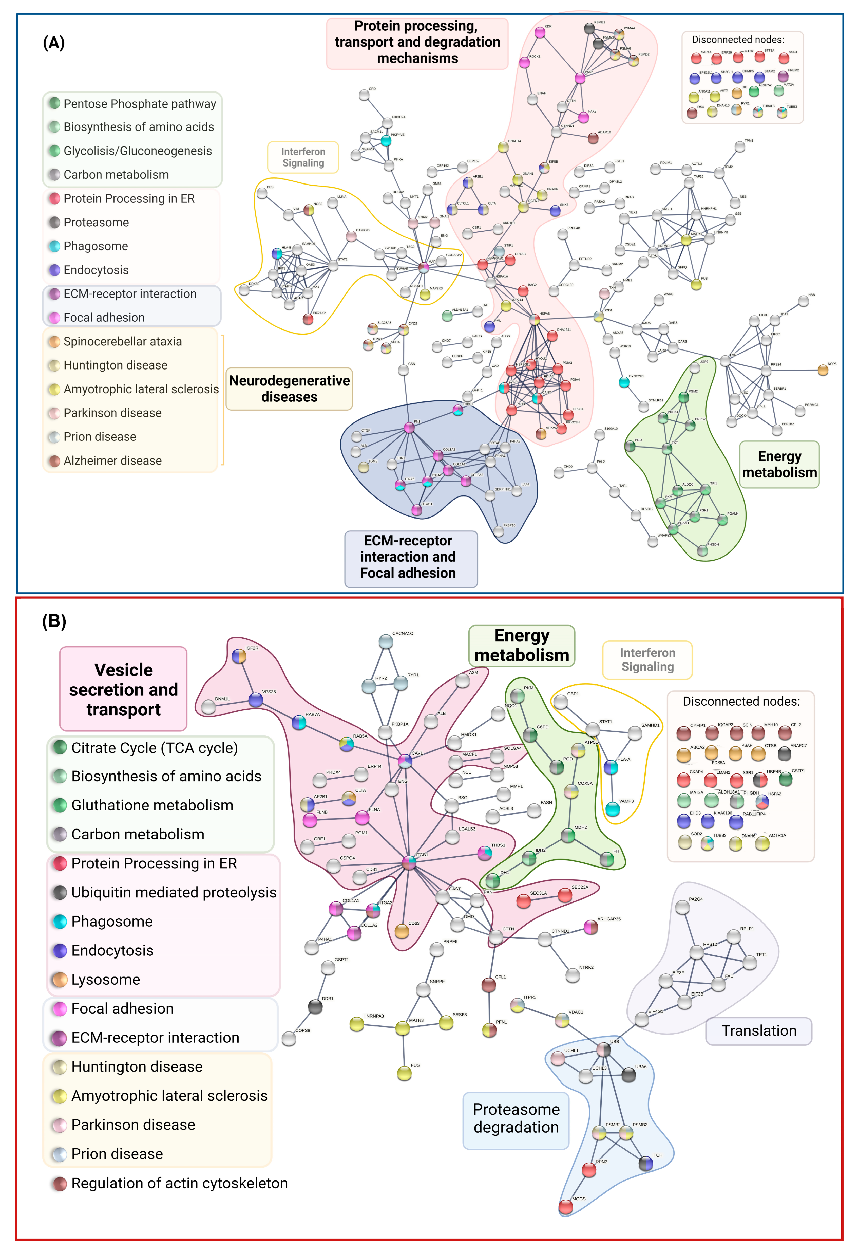 Ijms 24 12606 g007 Ijms 24 12606 g007