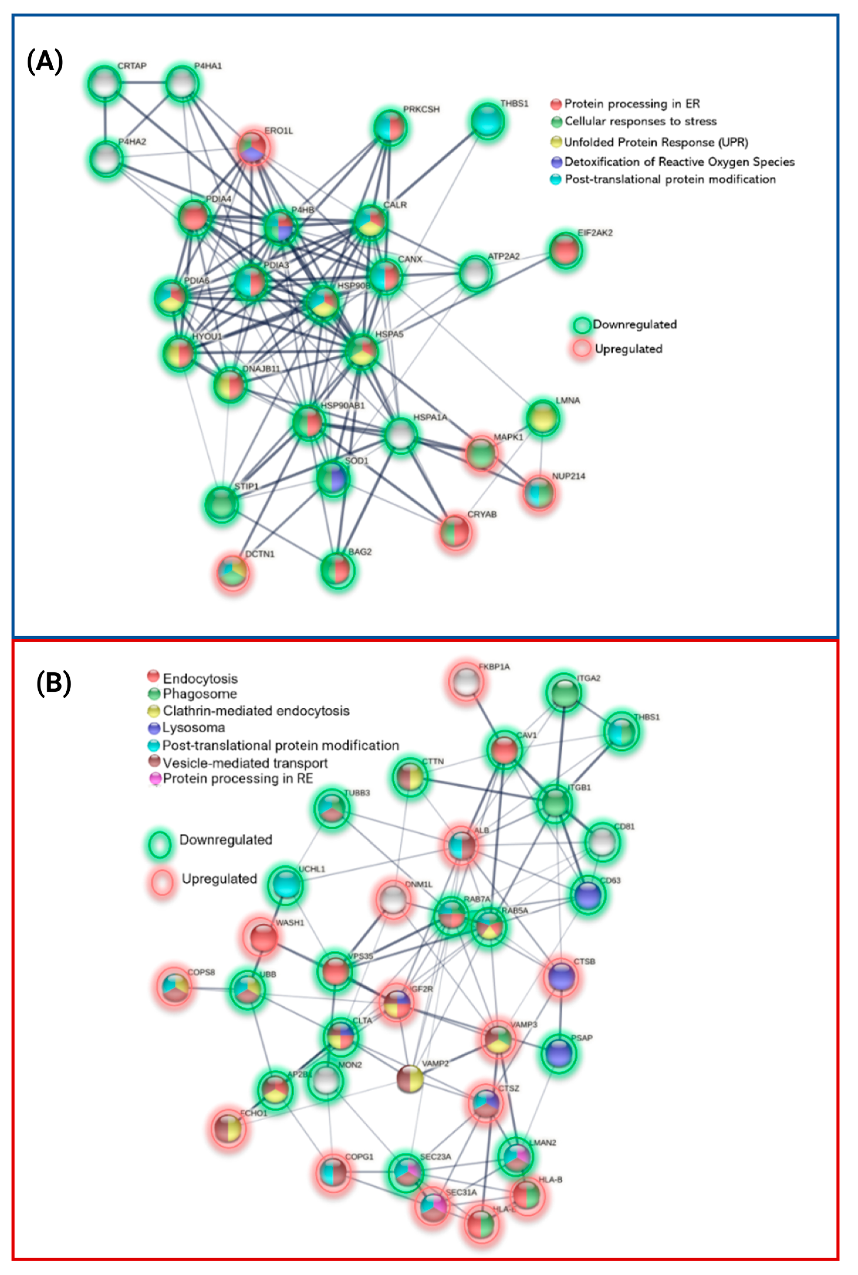 Ijms 24 12606 g008 Ijms 24 12606 g008