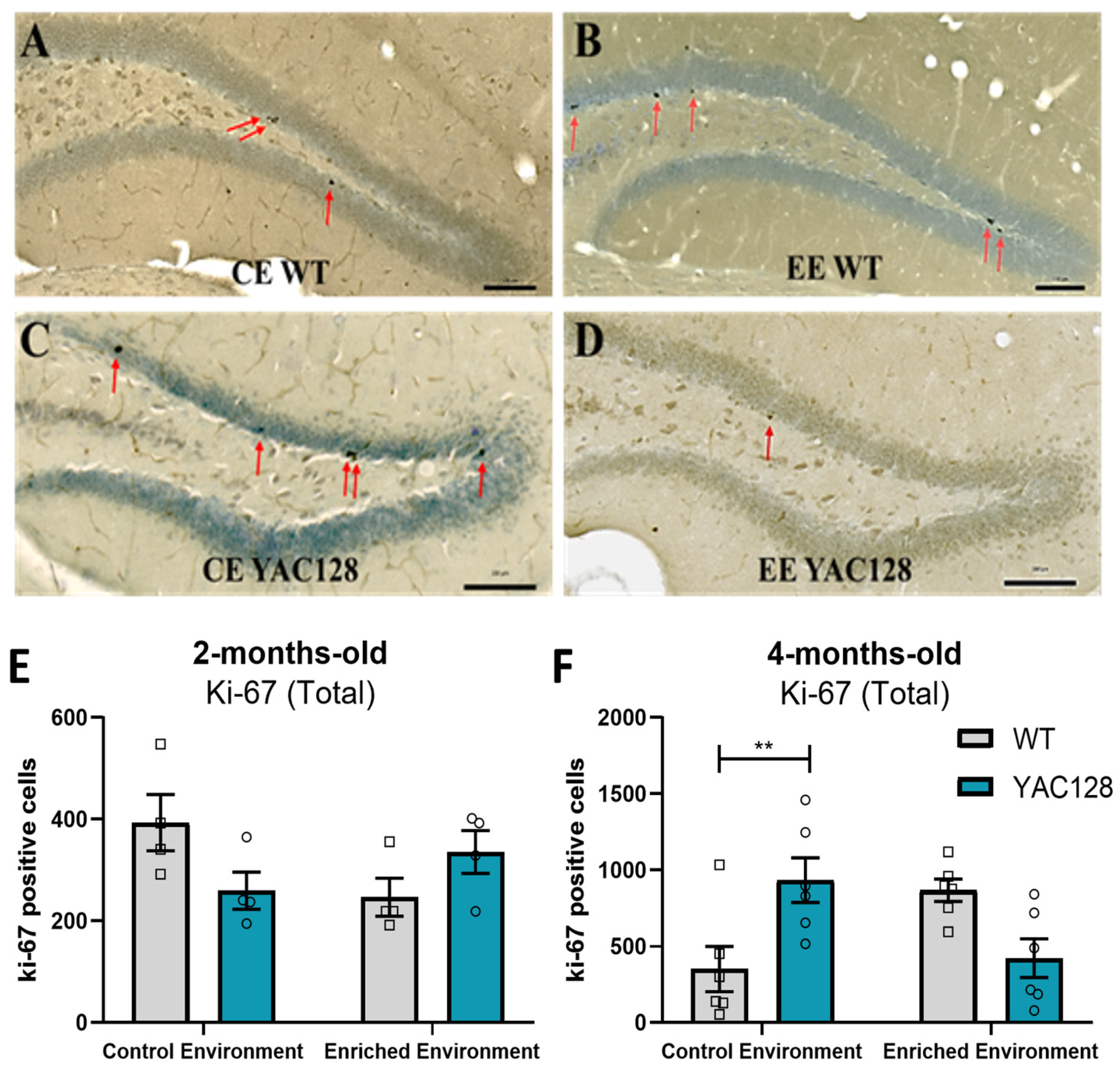 Ijms 24 12607 g006 Ijms 24 12607 g006