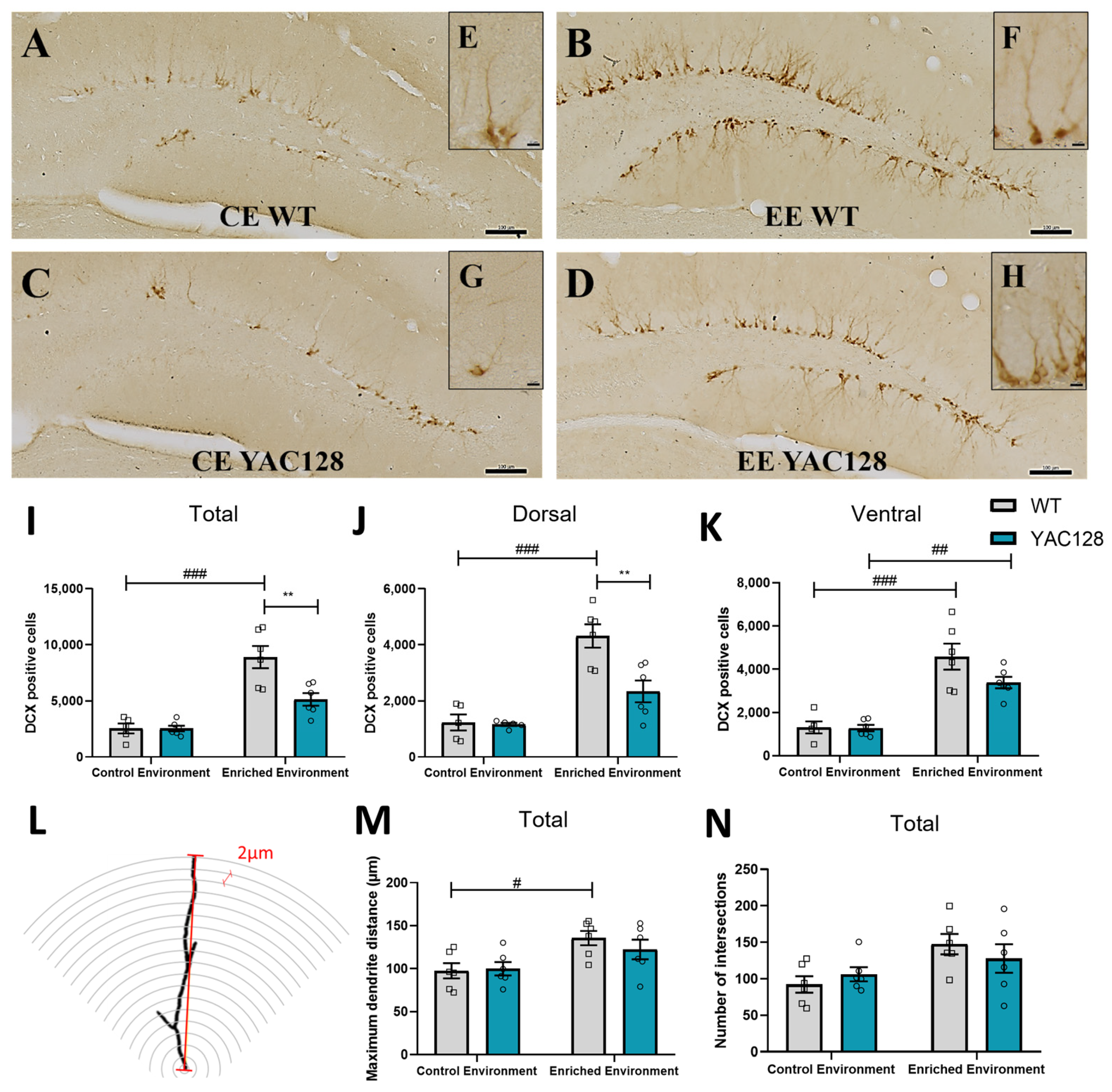 Ijms 24 12607 g007 Ijms 24 12607 g007