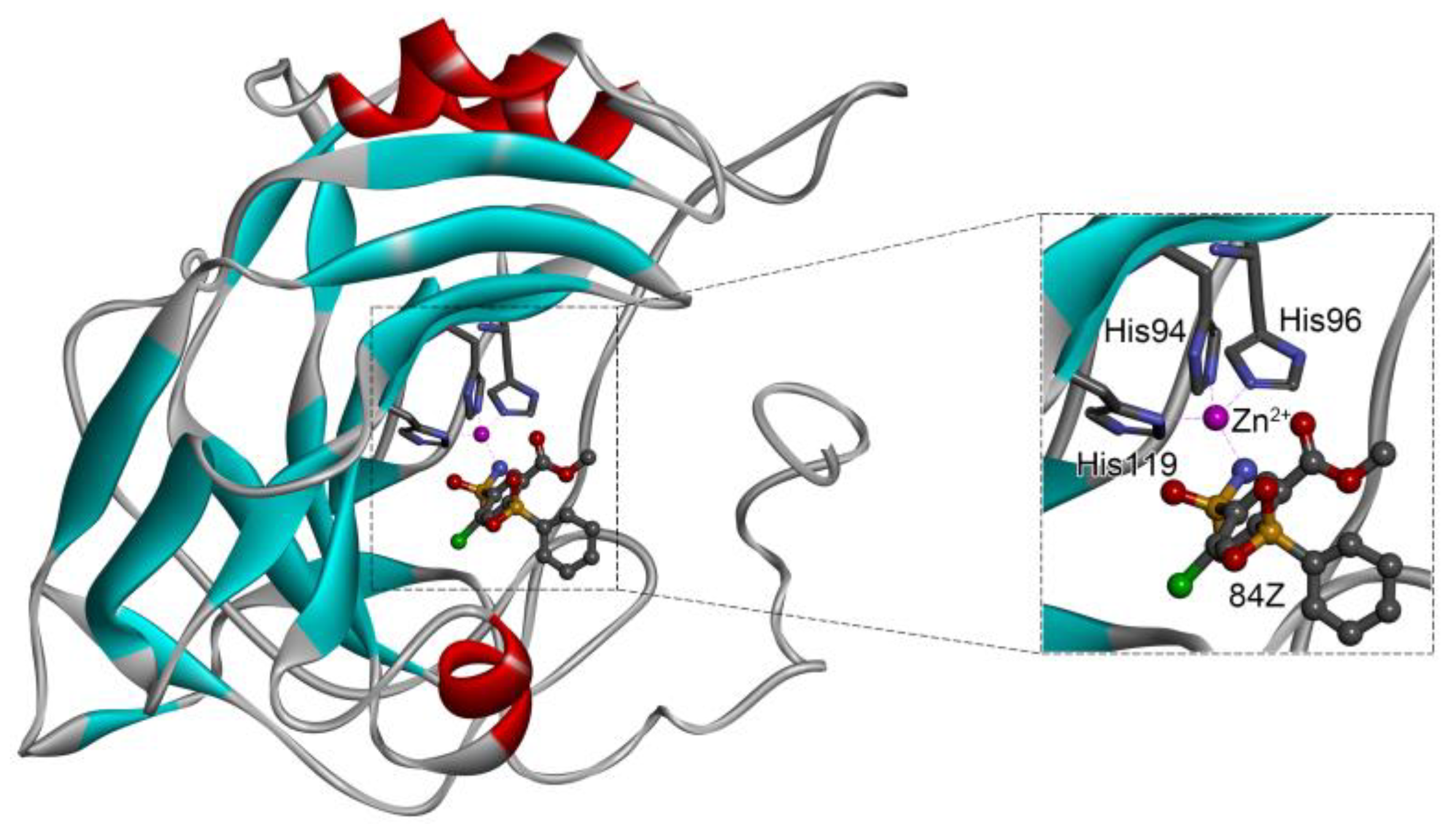 Ijms 24 12619 g001 Ijms 24 12619 g001