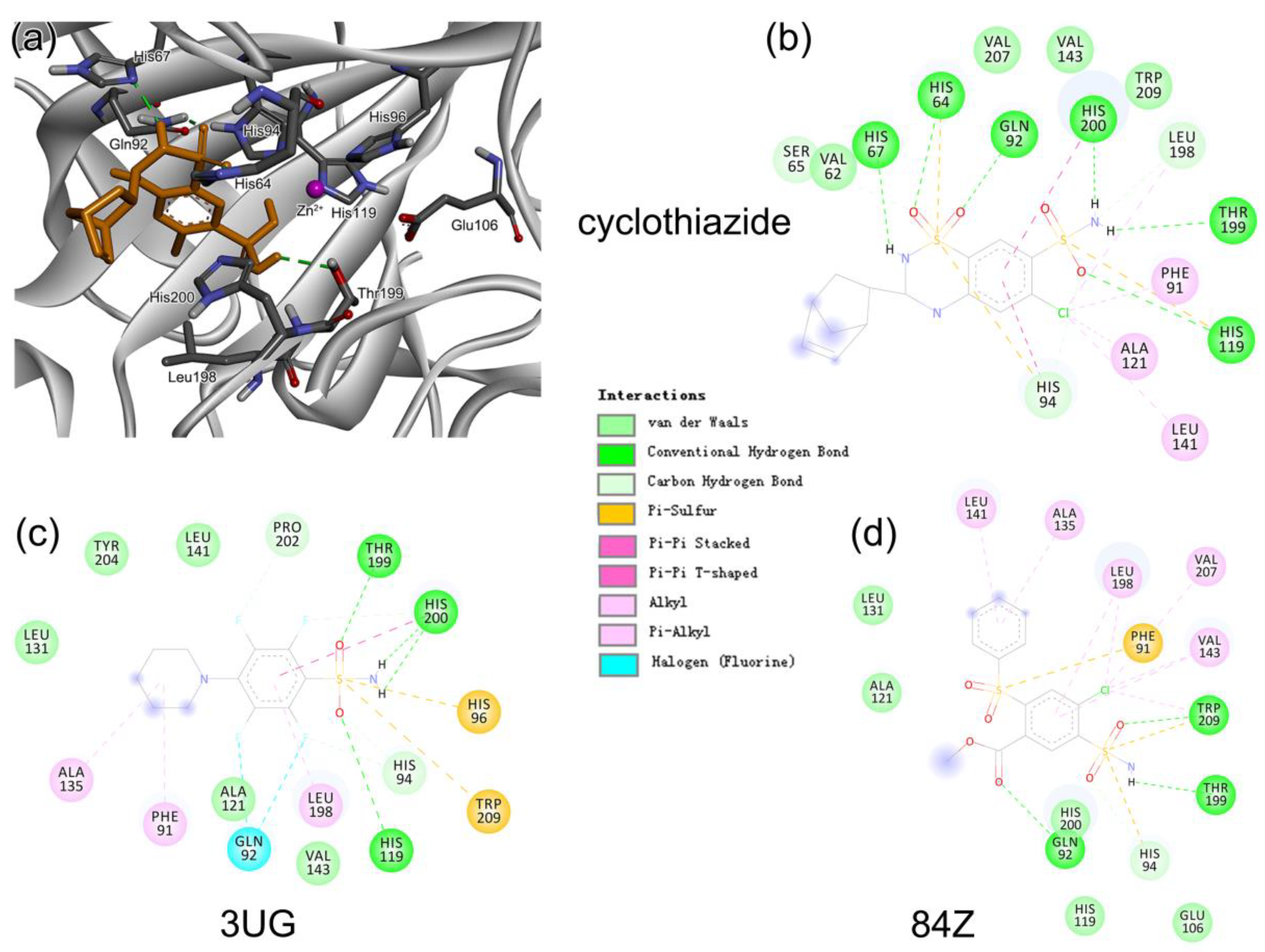 Ijms 24 12619 g005 Ijms 24 12619 g005