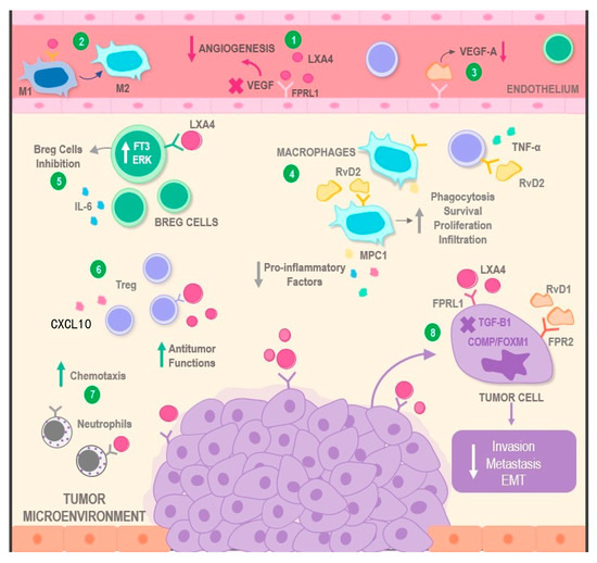 The Role of Specialized Pro-Resolving Lipid Mediators in Inflammation ...