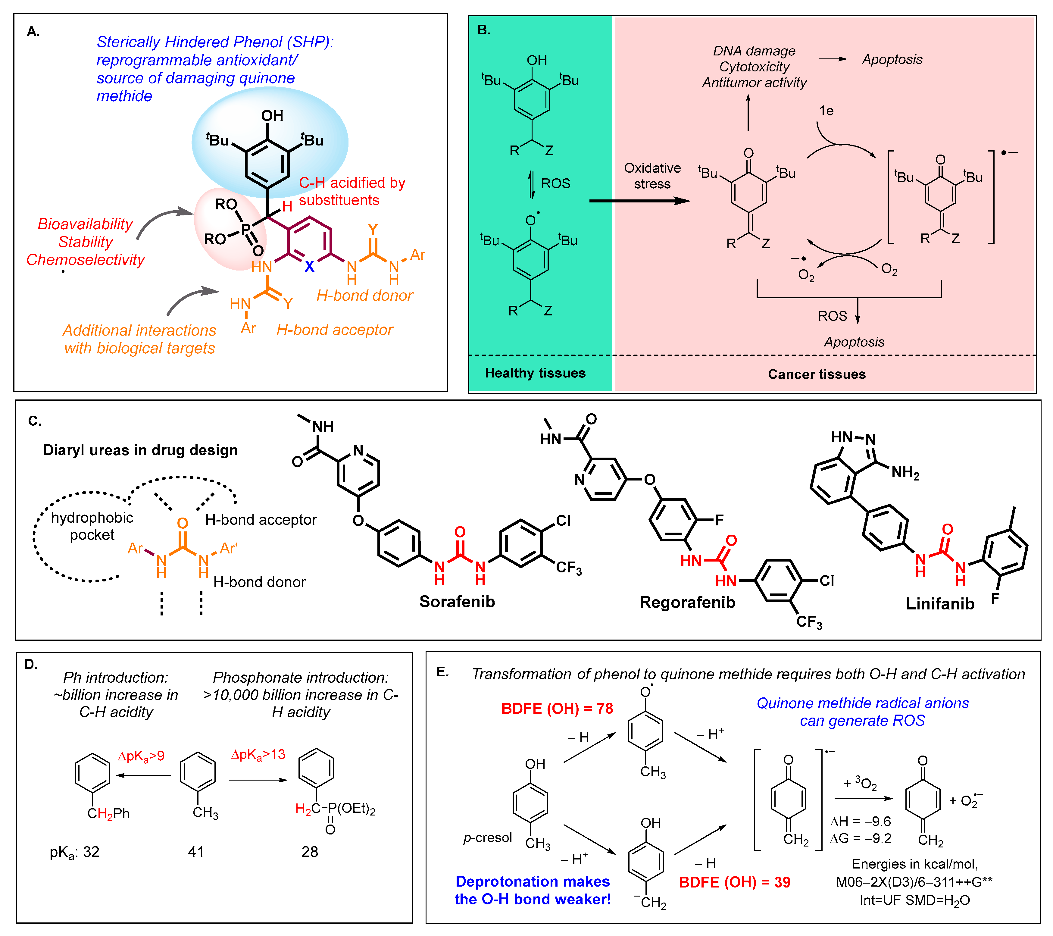 Ijms 24 12637 g001 Ijms 24 12637 g001