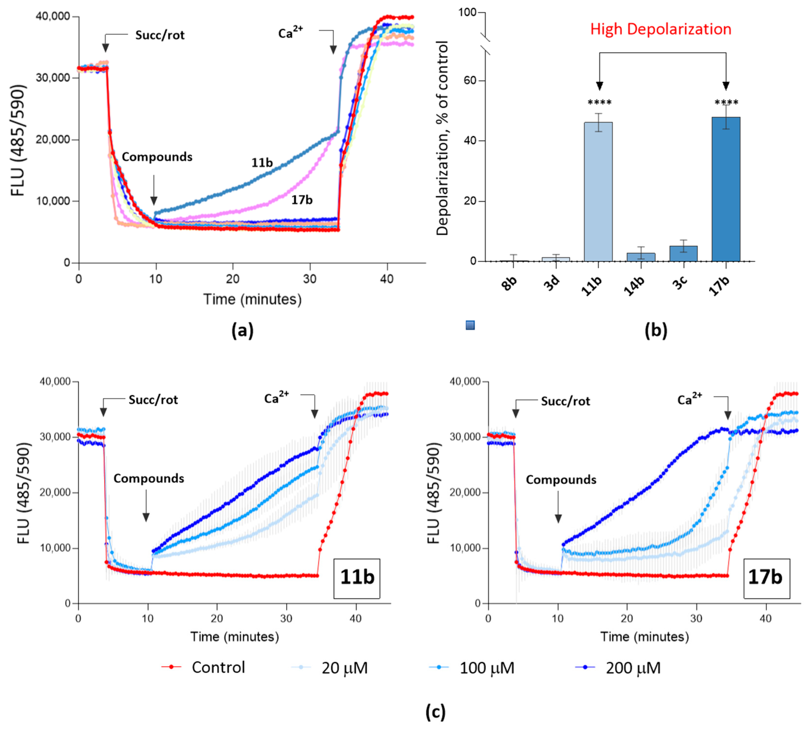 Ijms 24 12637 g008 Ijms 24 12637 g008
