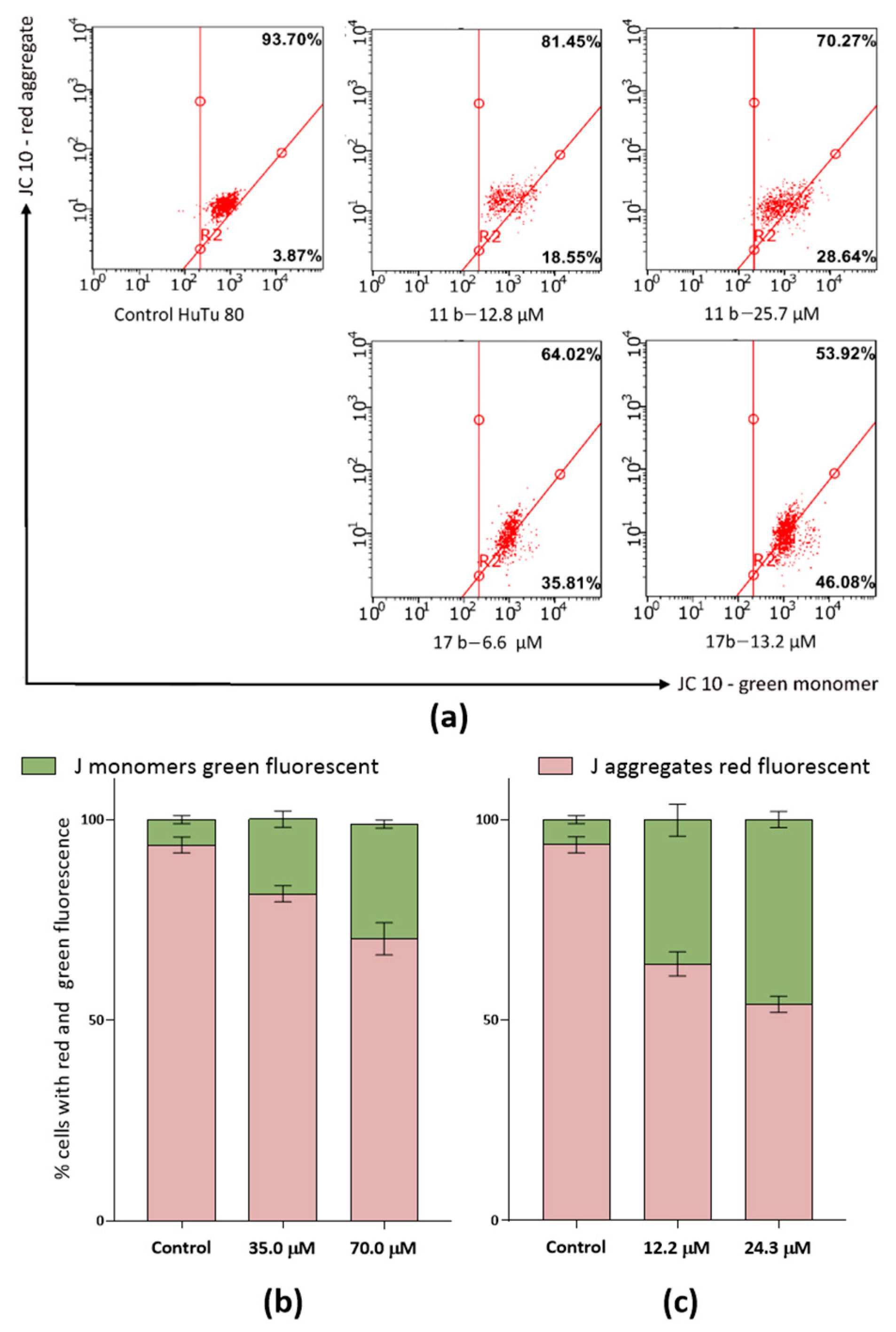 Ijms 24 12637 g009 Ijms 24 12637 g009