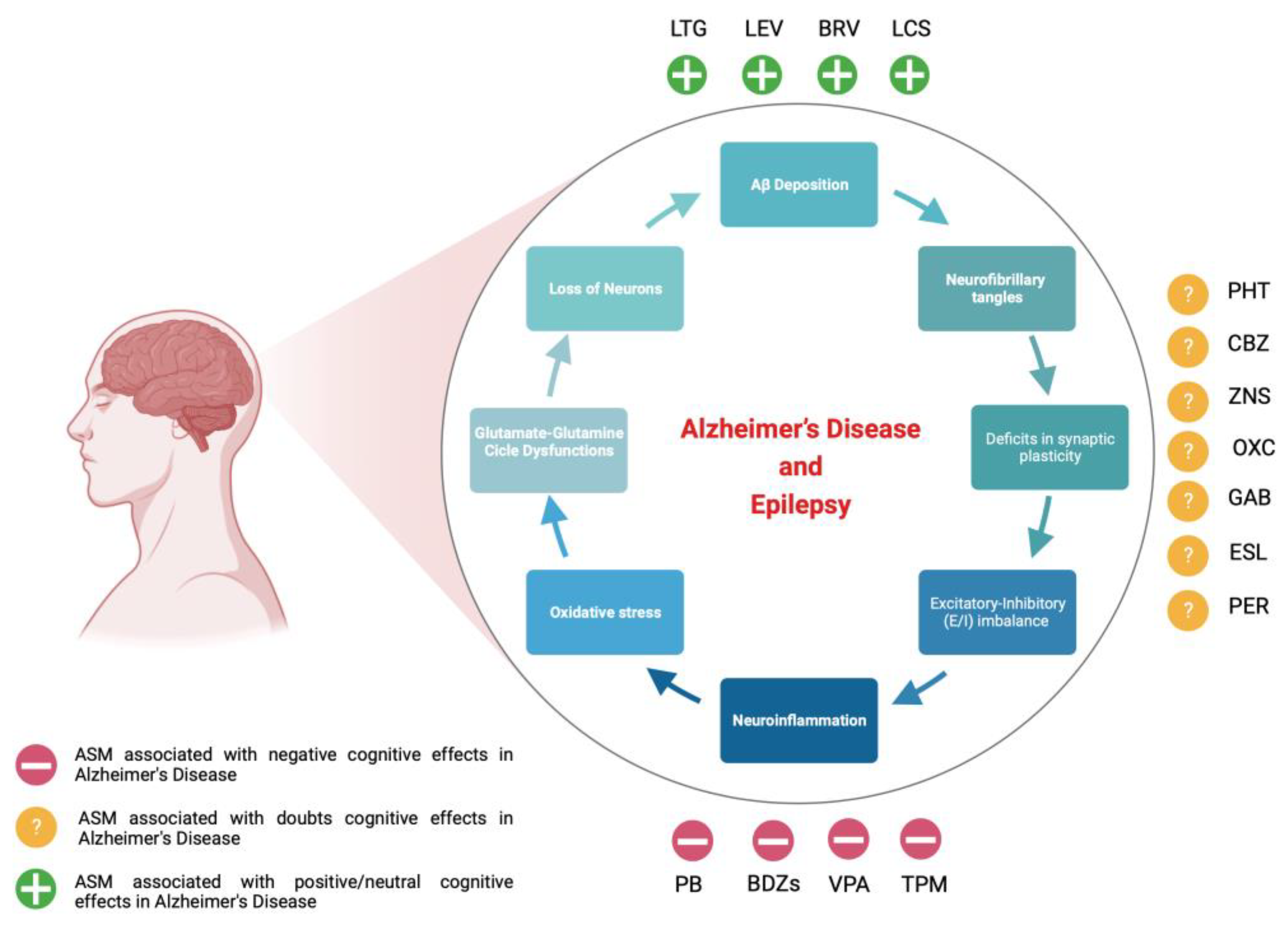 Ijms 24 12639 g001 Ijms 24 12639 g001