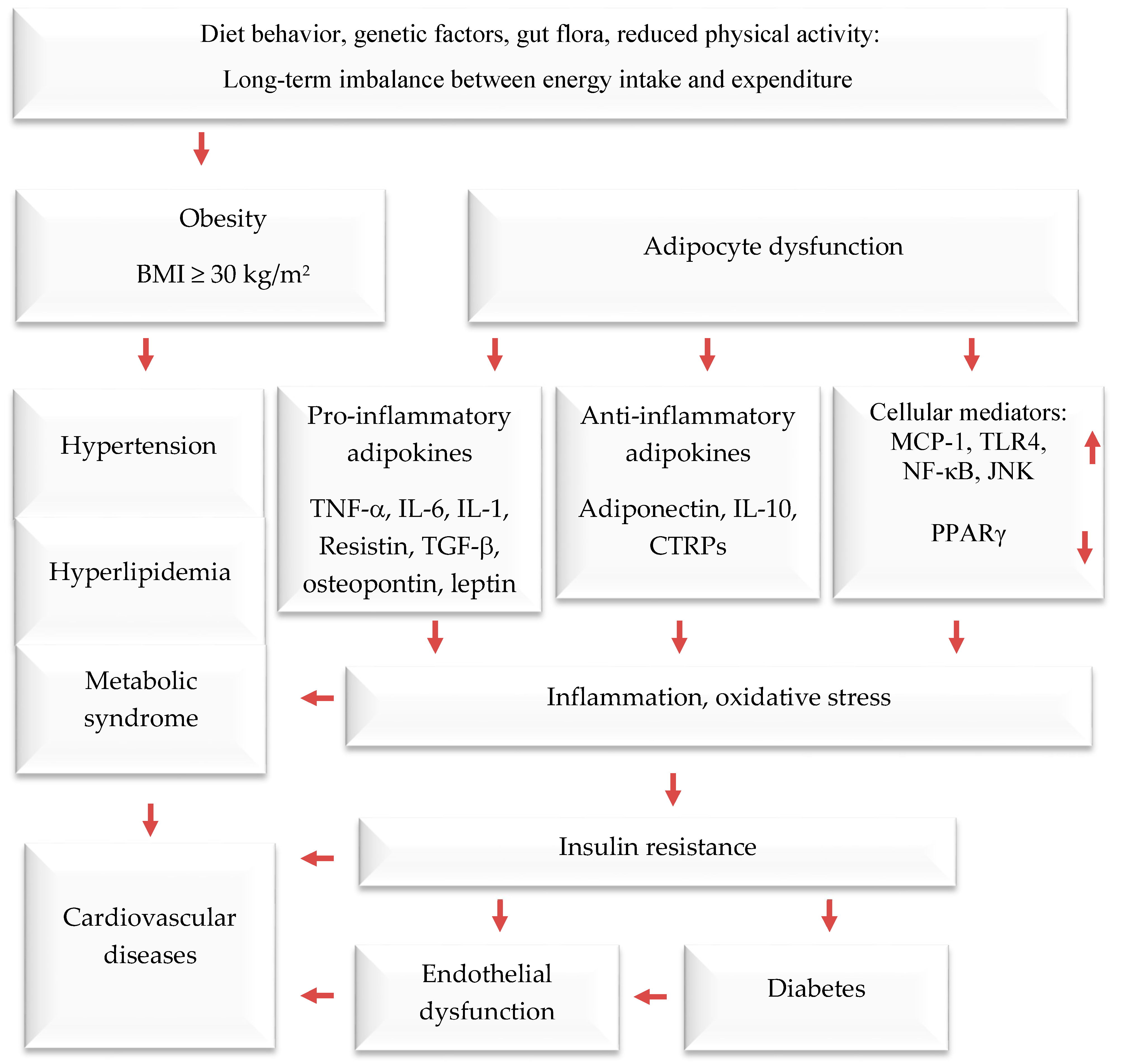 Ijms 24 12641 g001 Ijms 24 12641 g001