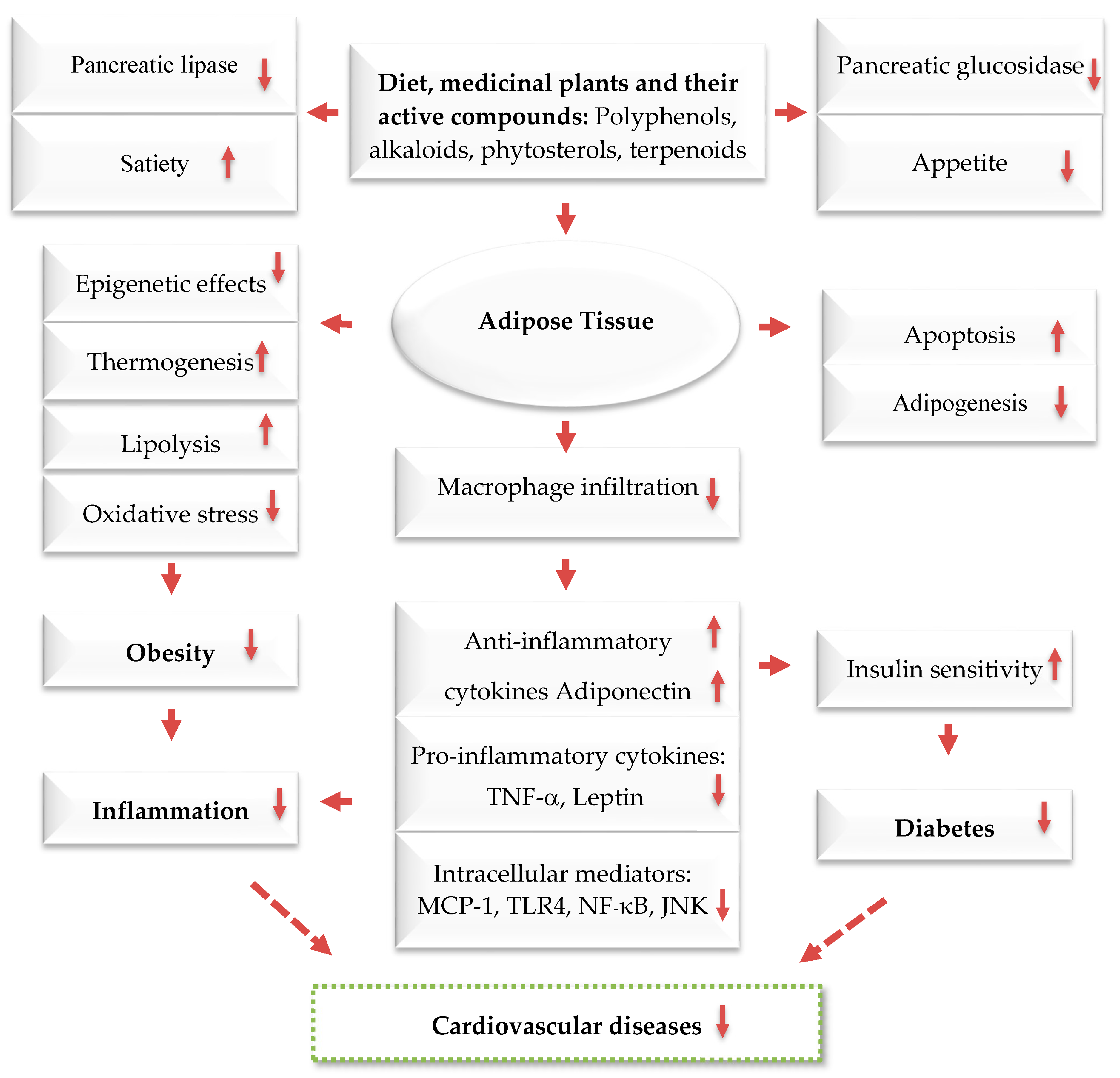 Ijms 24 12641 g004 Ijms 24 12641 g004