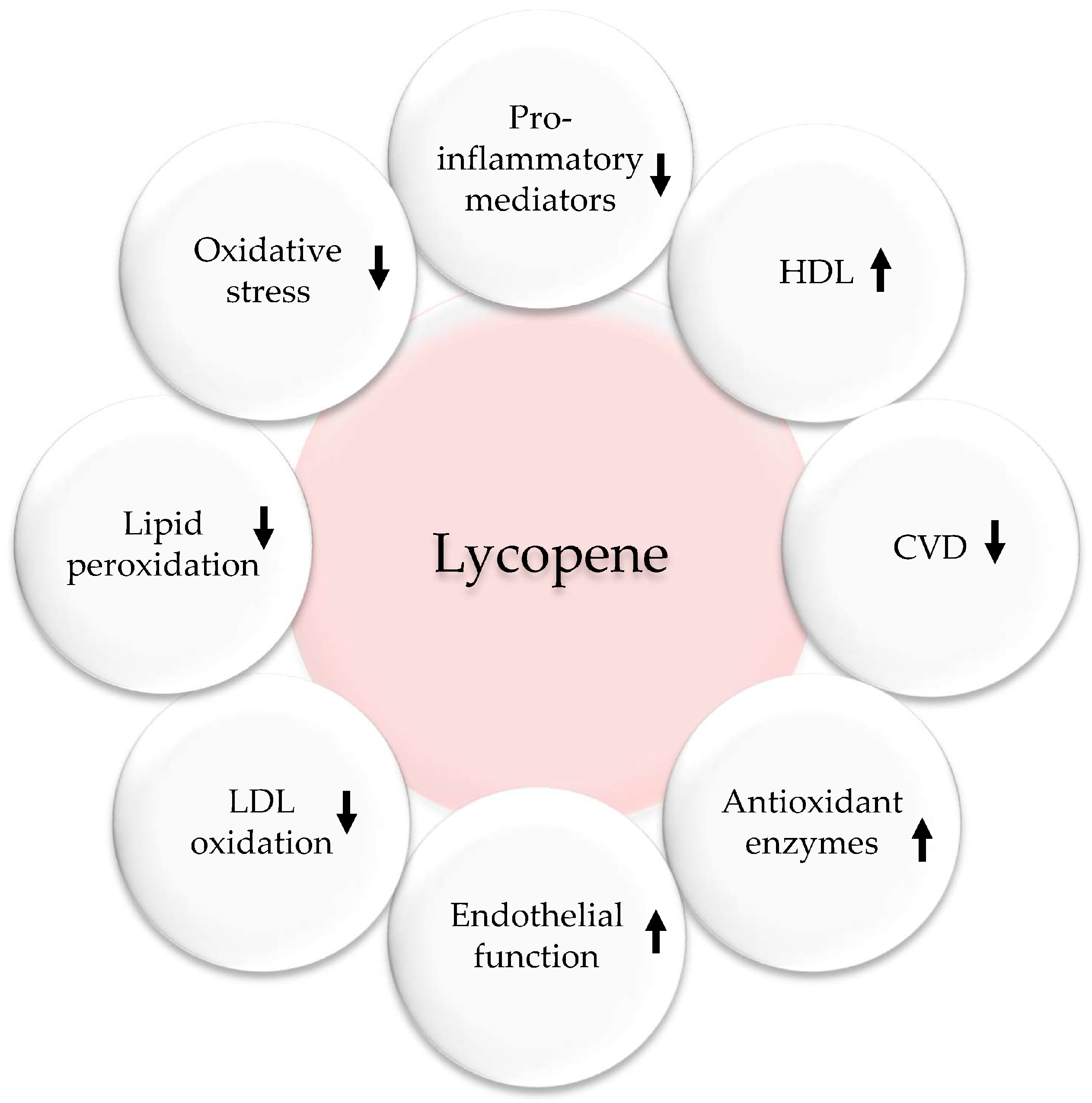 Ijms 24 12641 g006 Ijms 24 12641 g006