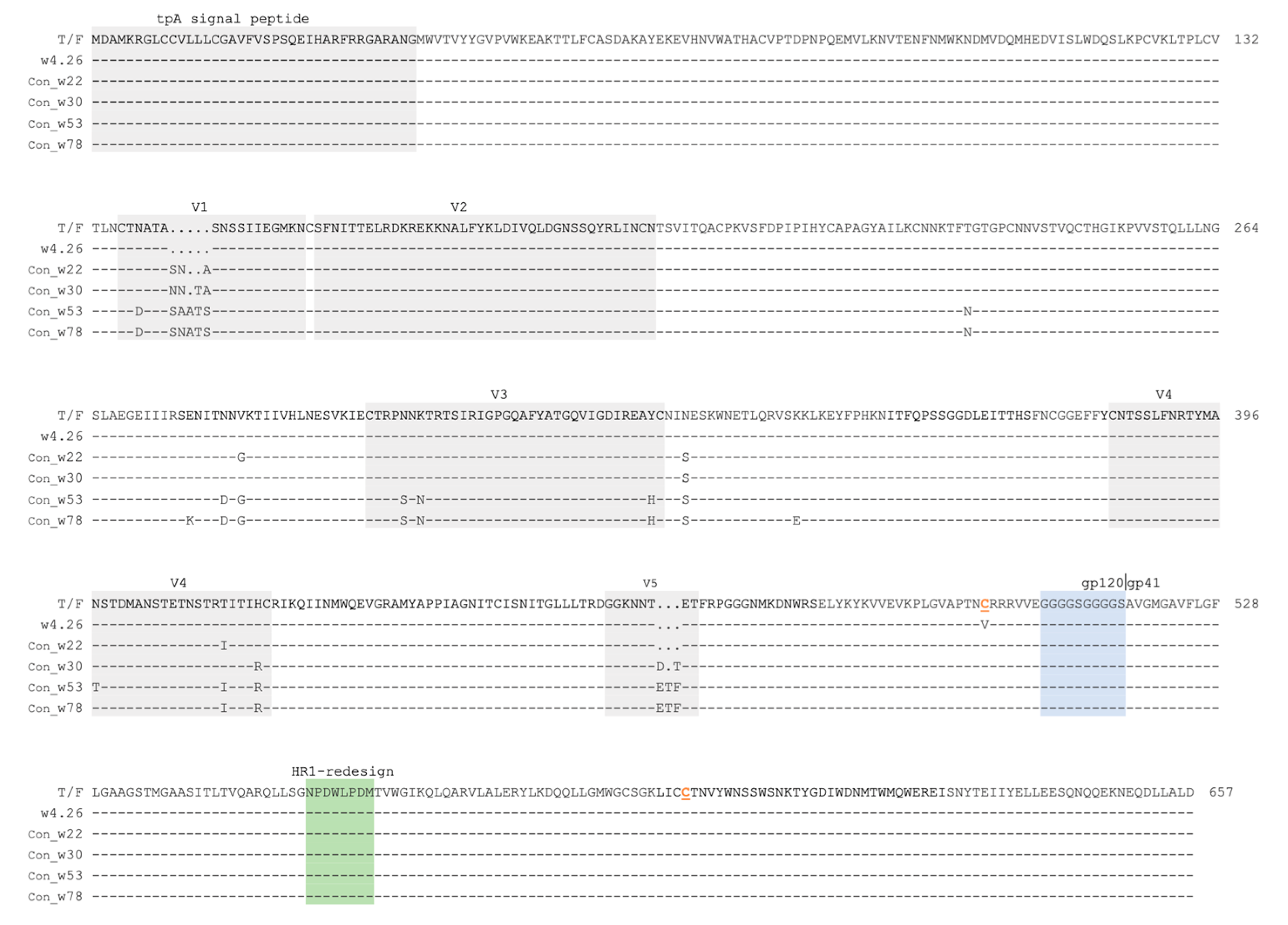 Ijms 24 12642 g001 Ijms 24 12642 g001