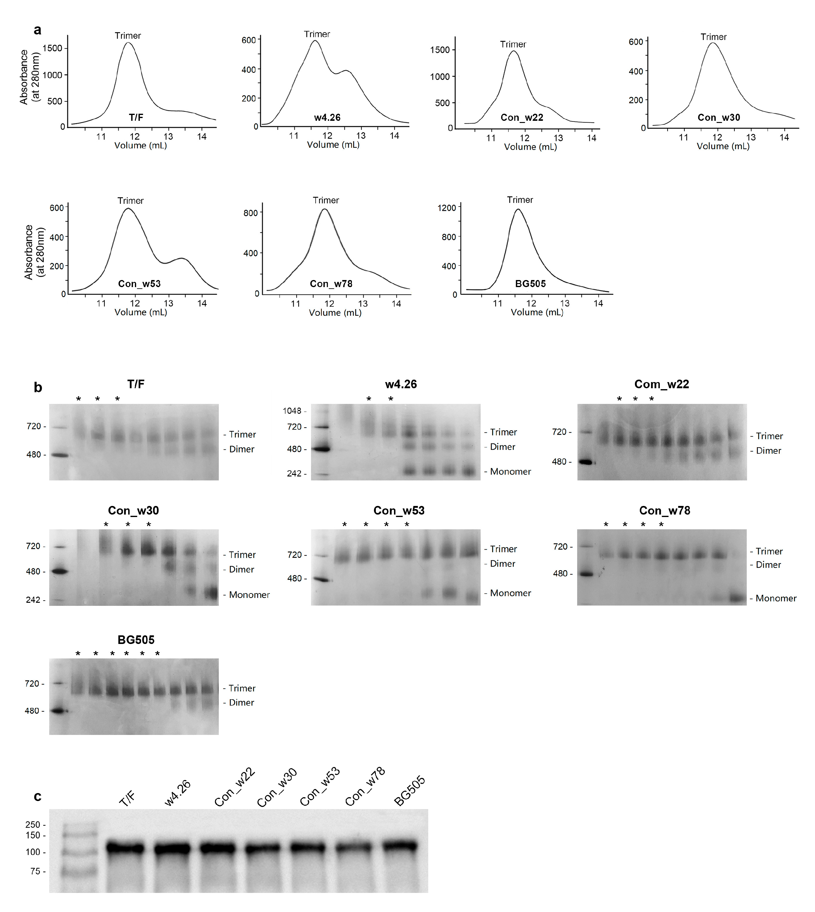 Ijms 24 12642 g002 Ijms 24 12642 g002