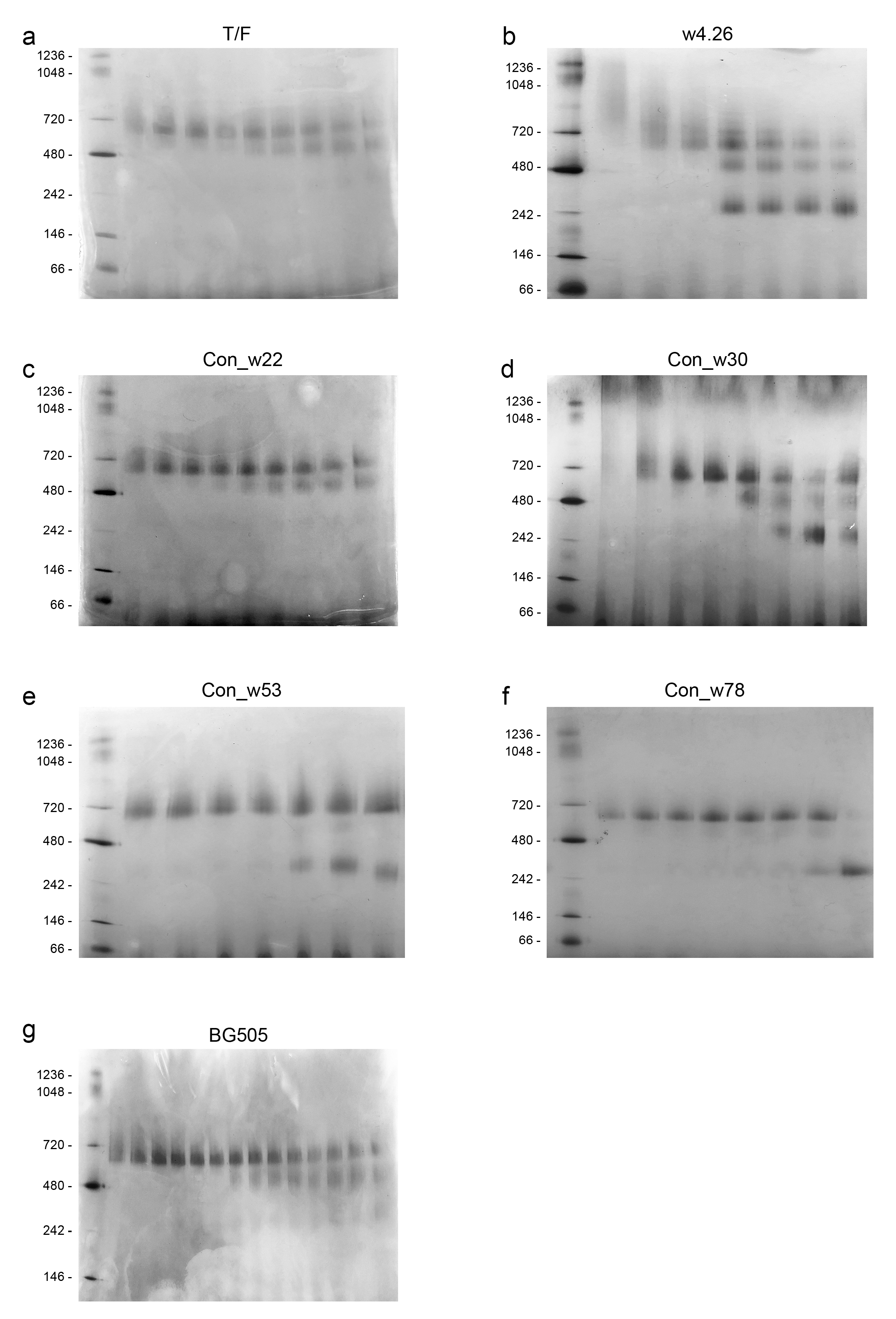 Ijms 24 12642 g0a2 Ijms 24 12642 g0a2