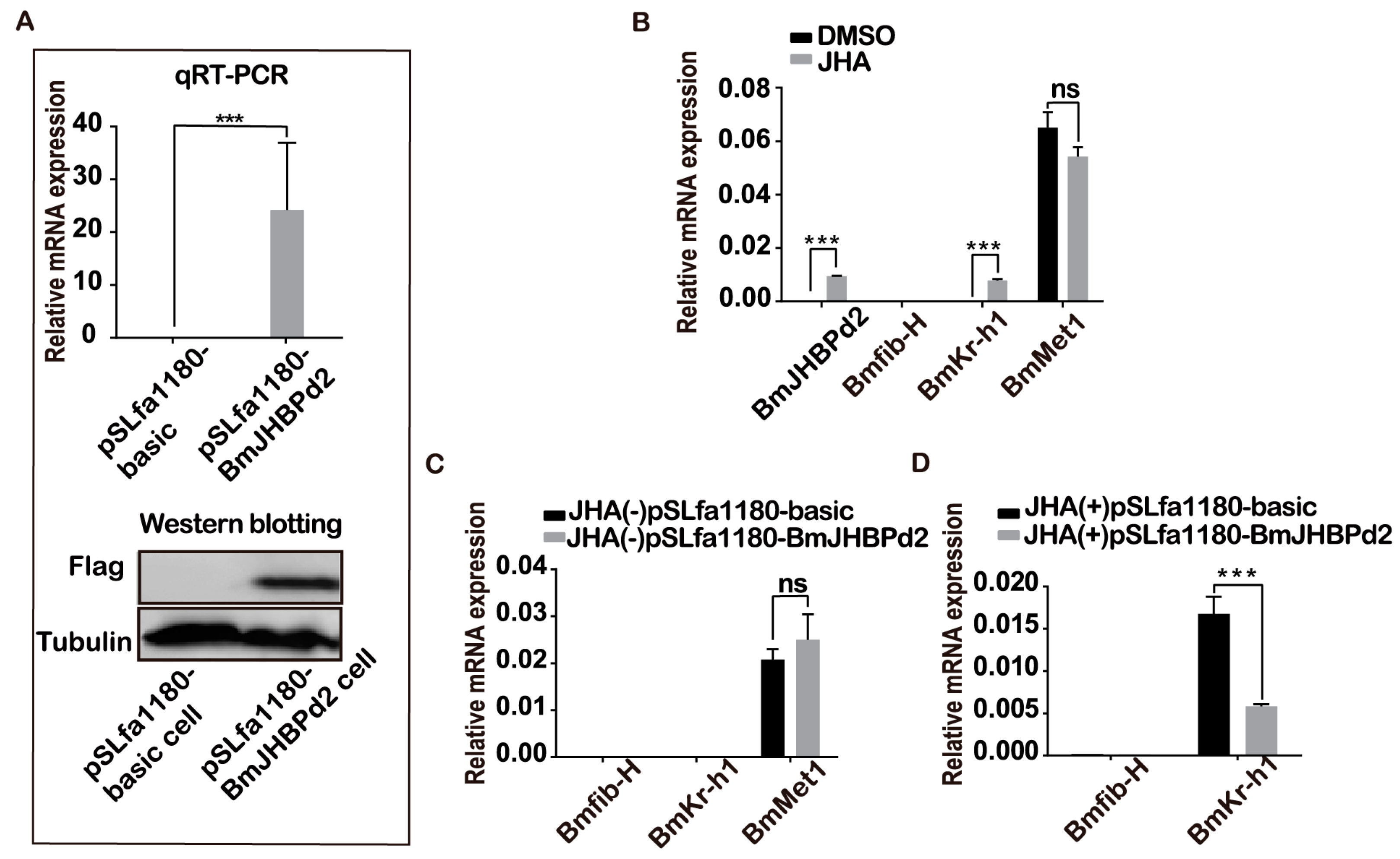 Ijms 24 12650 g003 Ijms 24 12650 g003