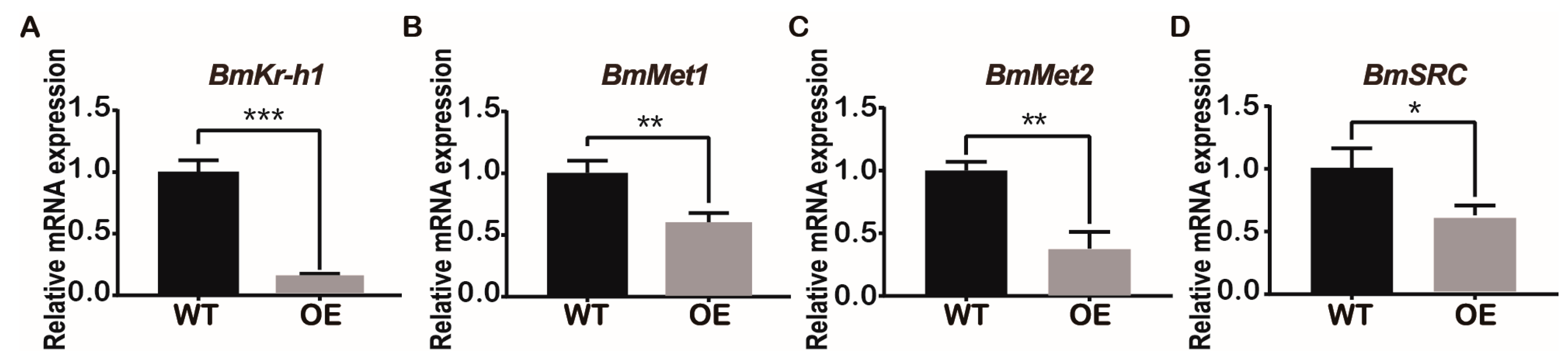 Ijms 24 12650 g006 Ijms 24 12650 g006