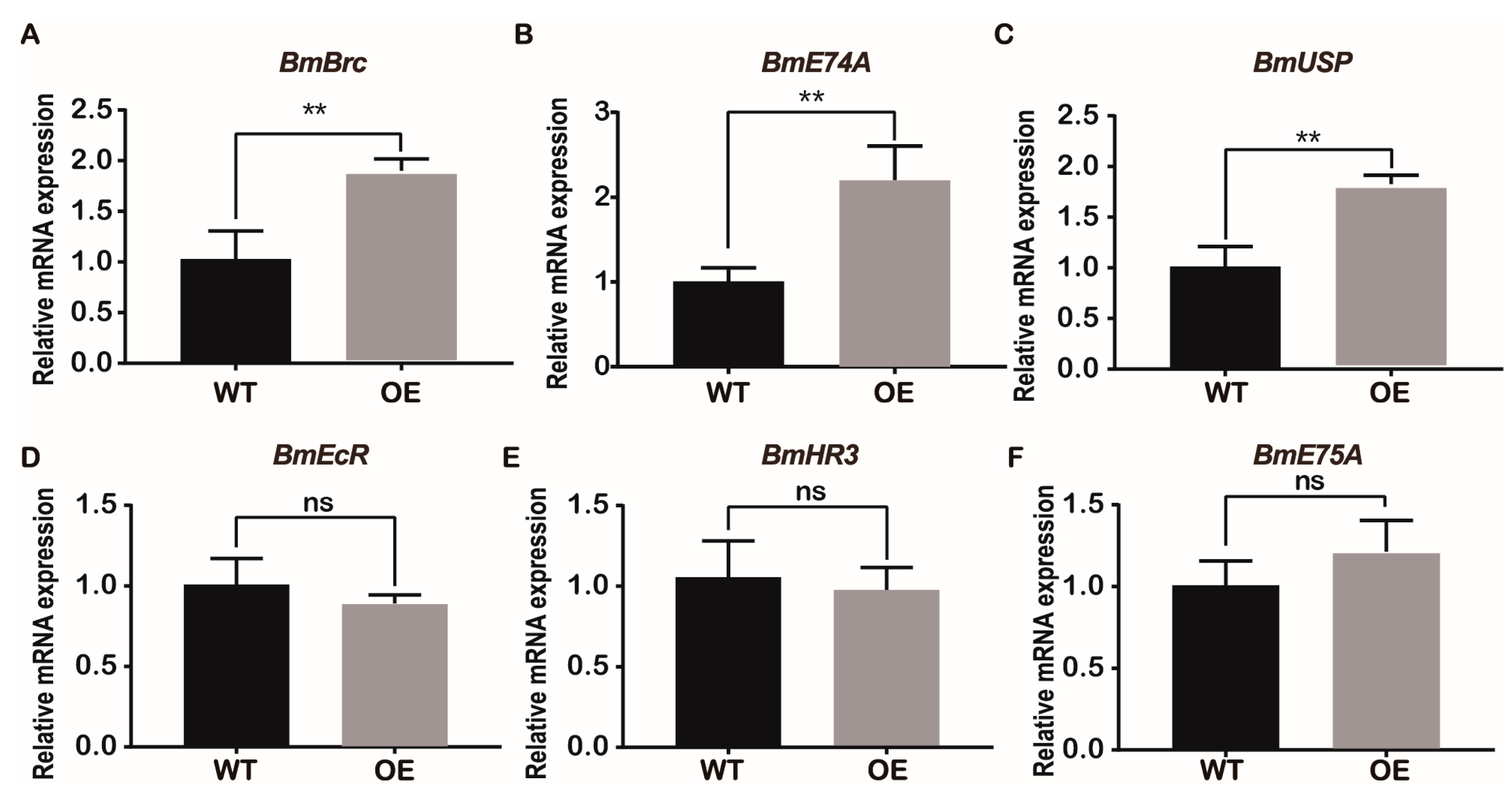 Ijms 24 12650 g007 Ijms 24 12650 g007