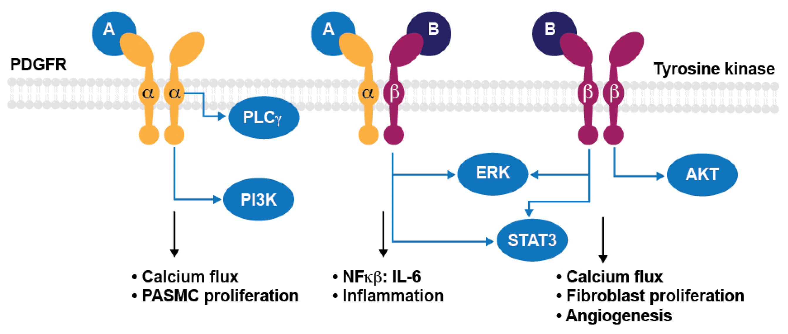 Ijms 24 12653 g003 Ijms 24 12653 g003