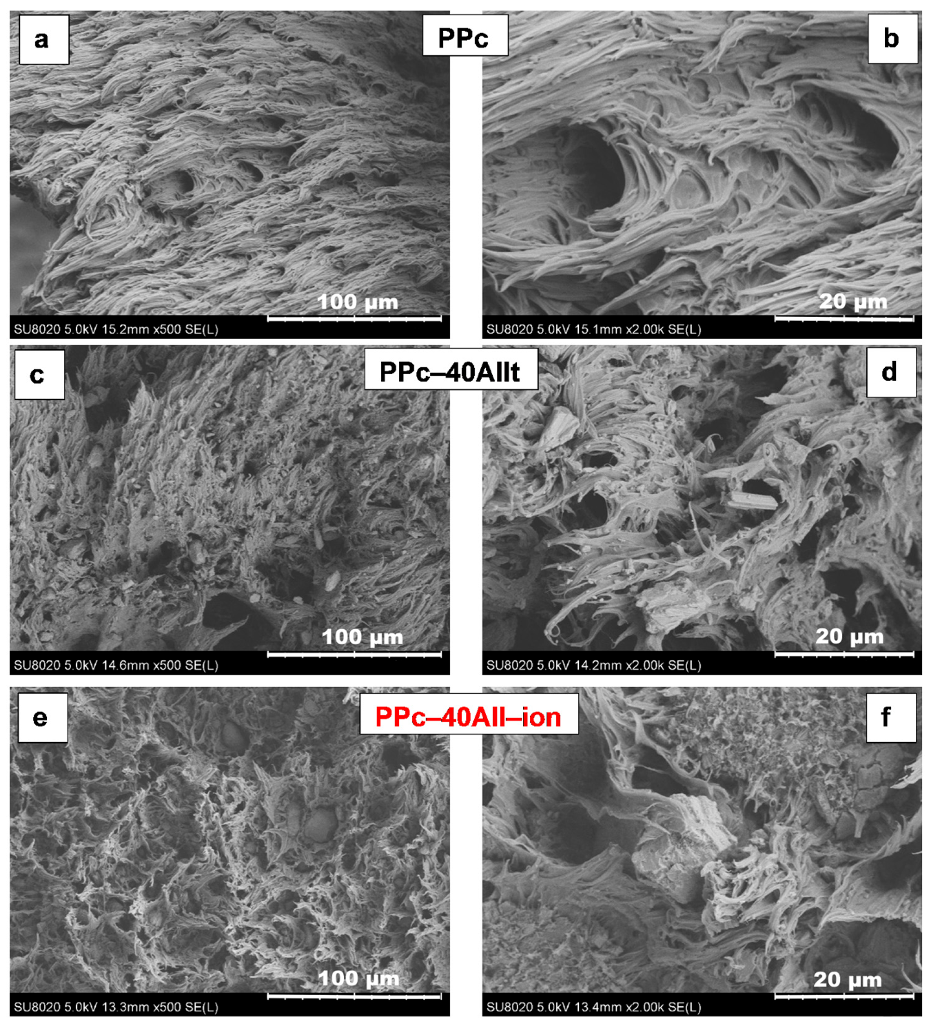 Ijms 24 12659 g007 Ijms 24 12659 g007