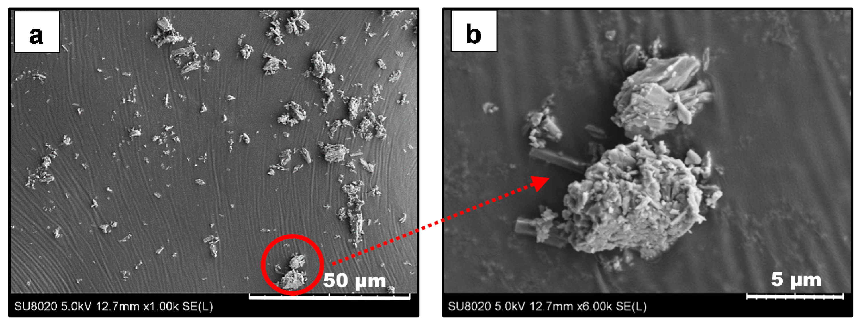 Ijms 24 12659 g013 Ijms 24 12659 g013