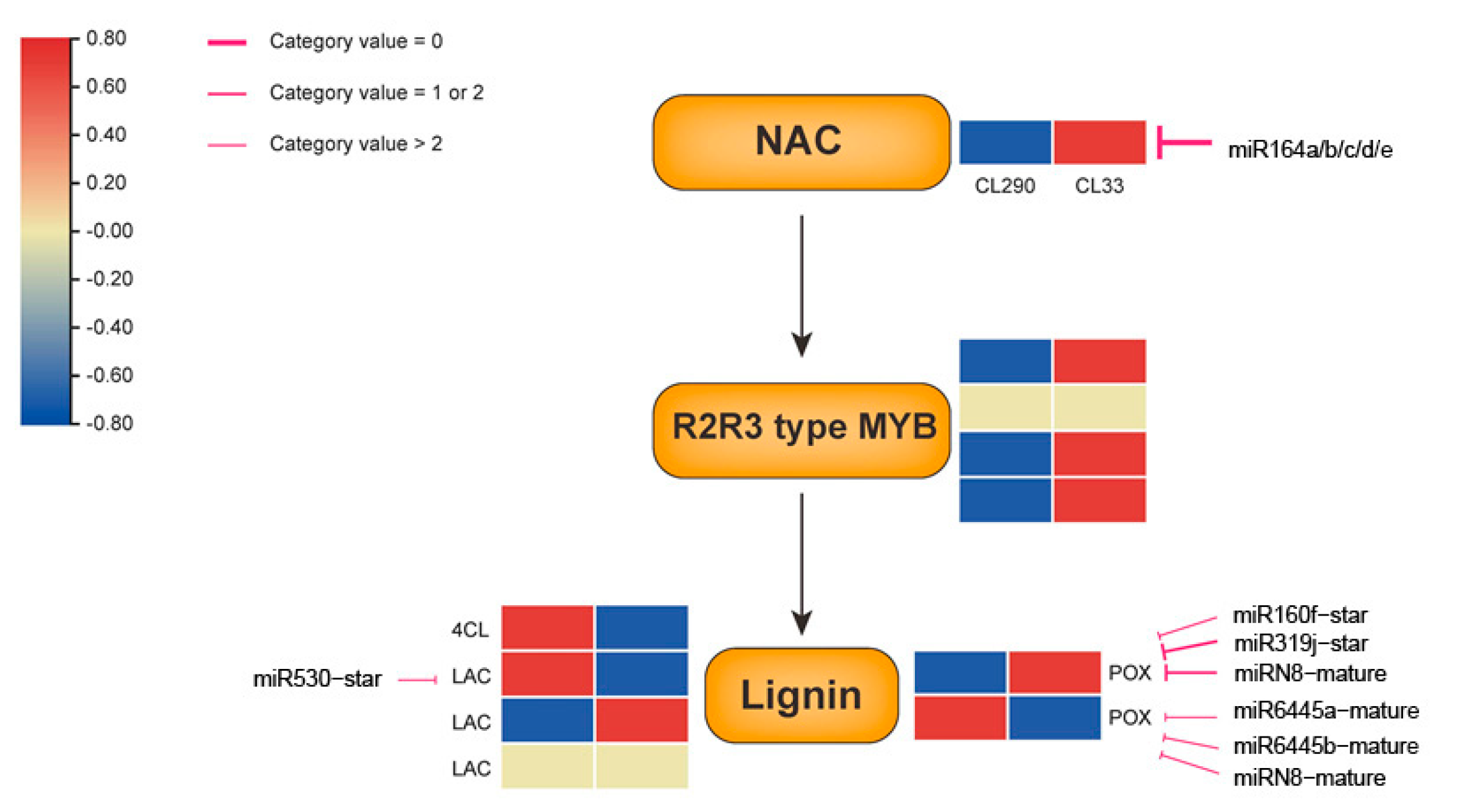 Ijms 24 12662 g006 Ijms 24 12662 g006