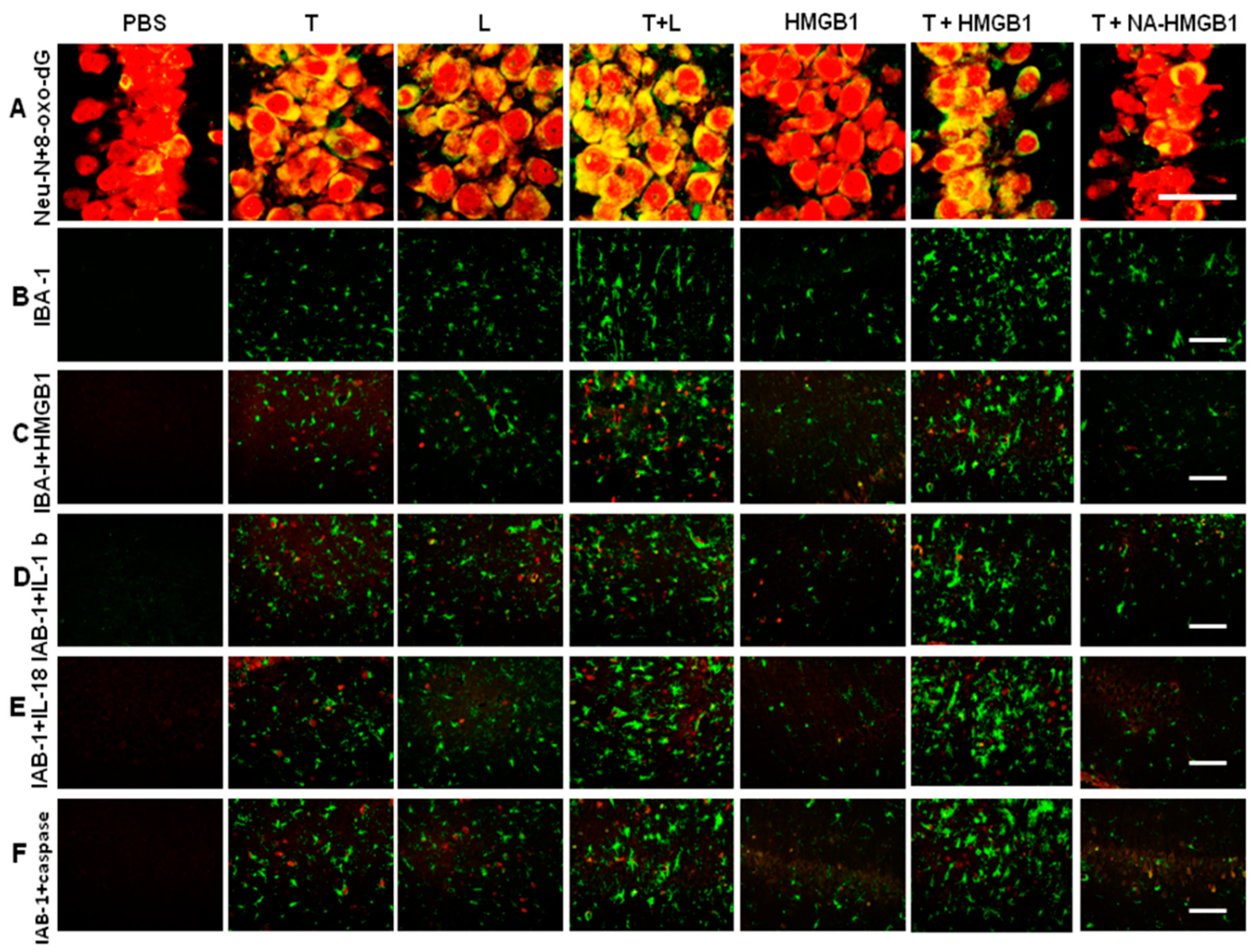 Ijms 24 12664 g003 Ijms 24 12664 g003