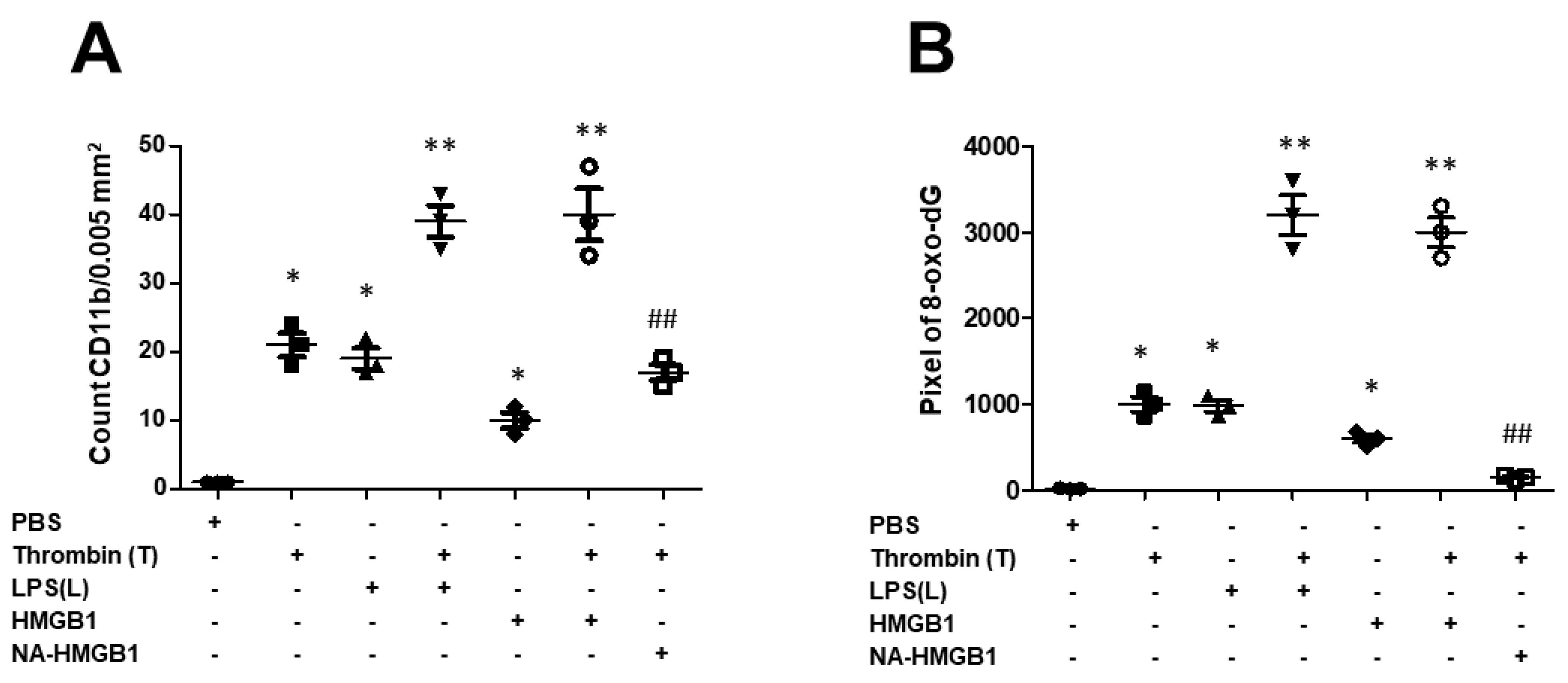 Ijms 24 12664 g004 Ijms 24 12664 g004