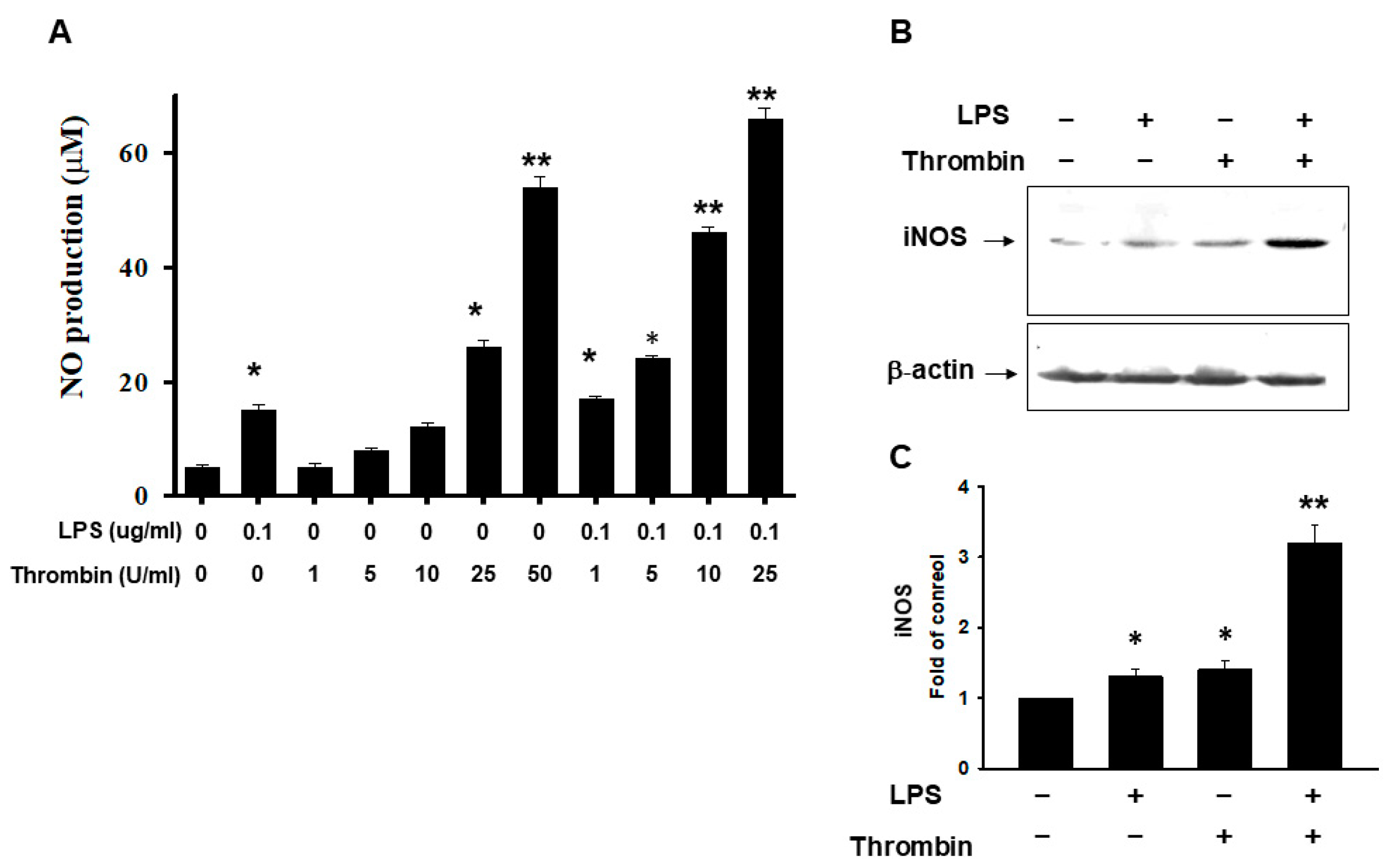 Ijms 24 12664 g005 Ijms 24 12664 g005