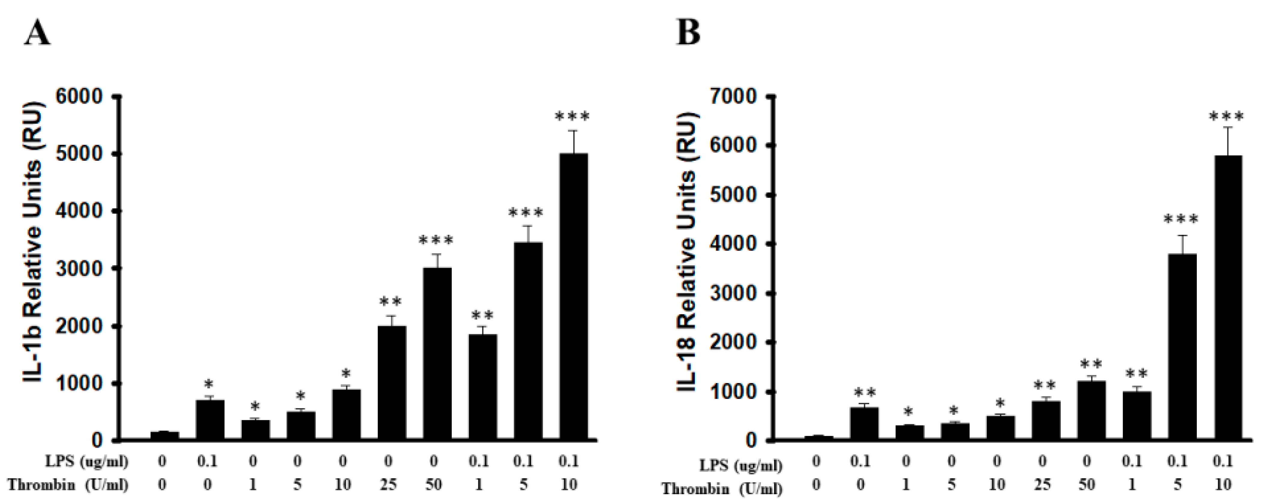 Ijms 24 12664 g006 Ijms 24 12664 g006
