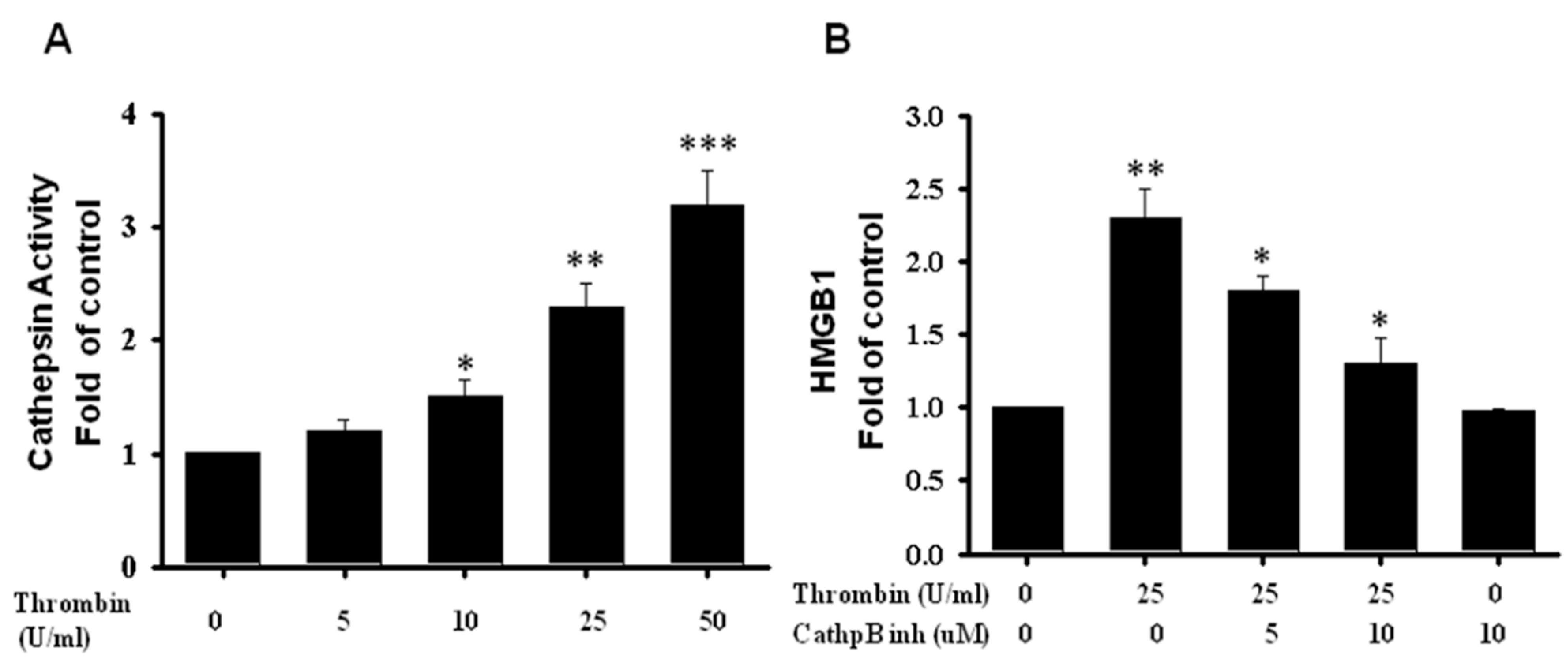 Ijms 24 12664 g009 Ijms 24 12664 g009