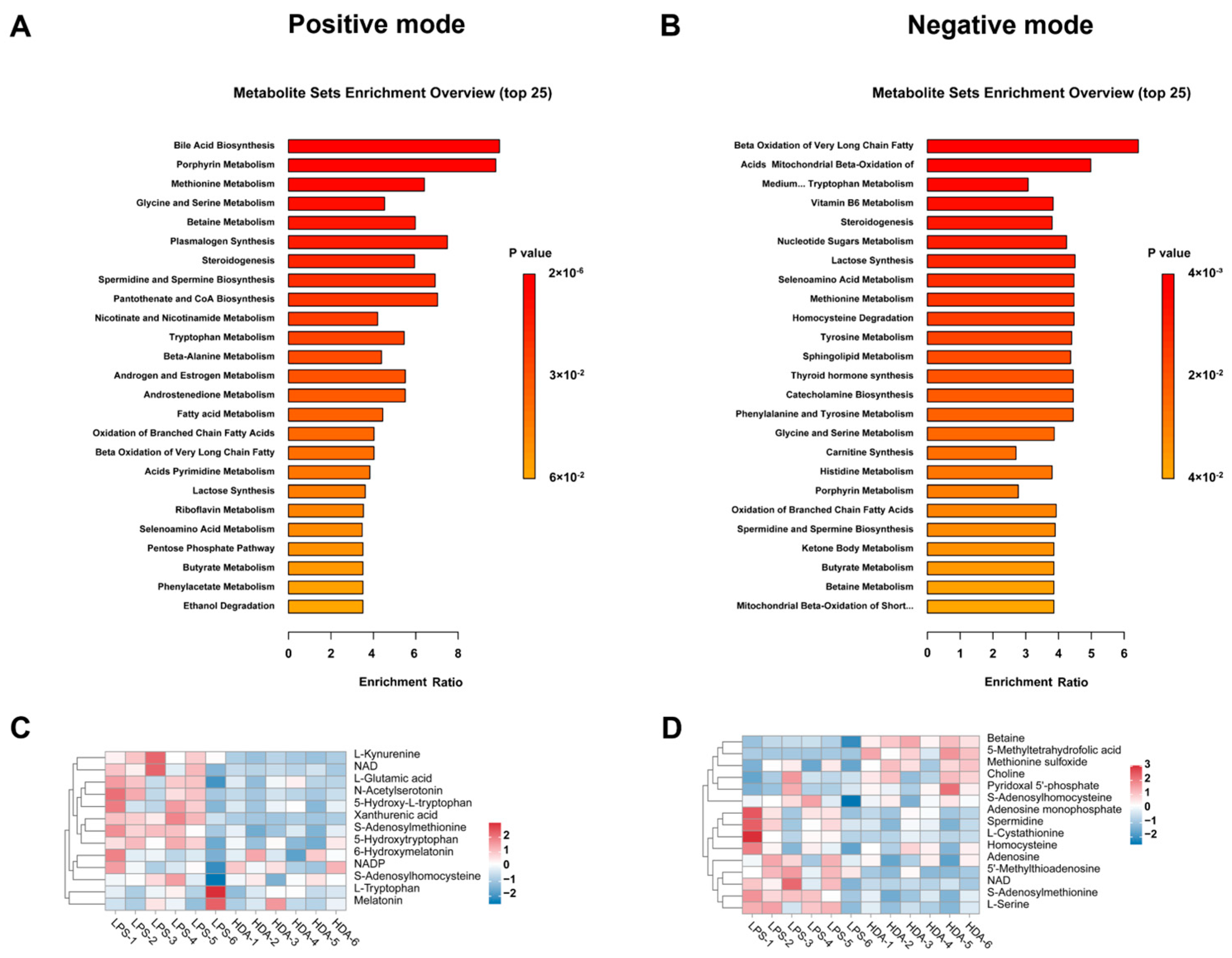 Ijms 24 12666 g002 Ijms 24 12666 g002