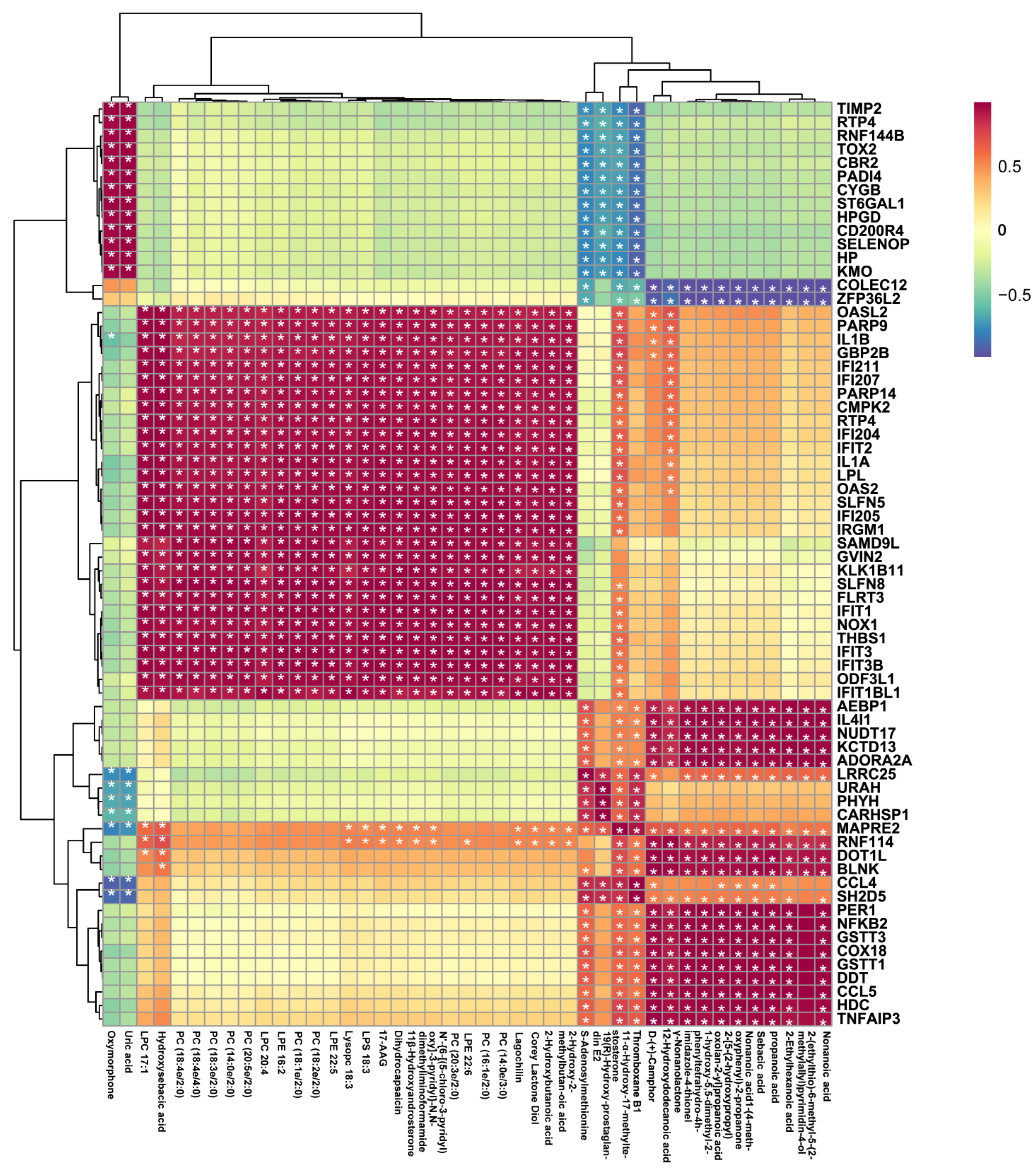 IJMS | Free Full-Text | Integration of Metabolomic and Transcriptomic  Provides Insights into Anti-Inflammatory Response to  trans-10-Hydroxy-2-decenoic Acid on LPS-Stimulated RAW 264.7 Cells