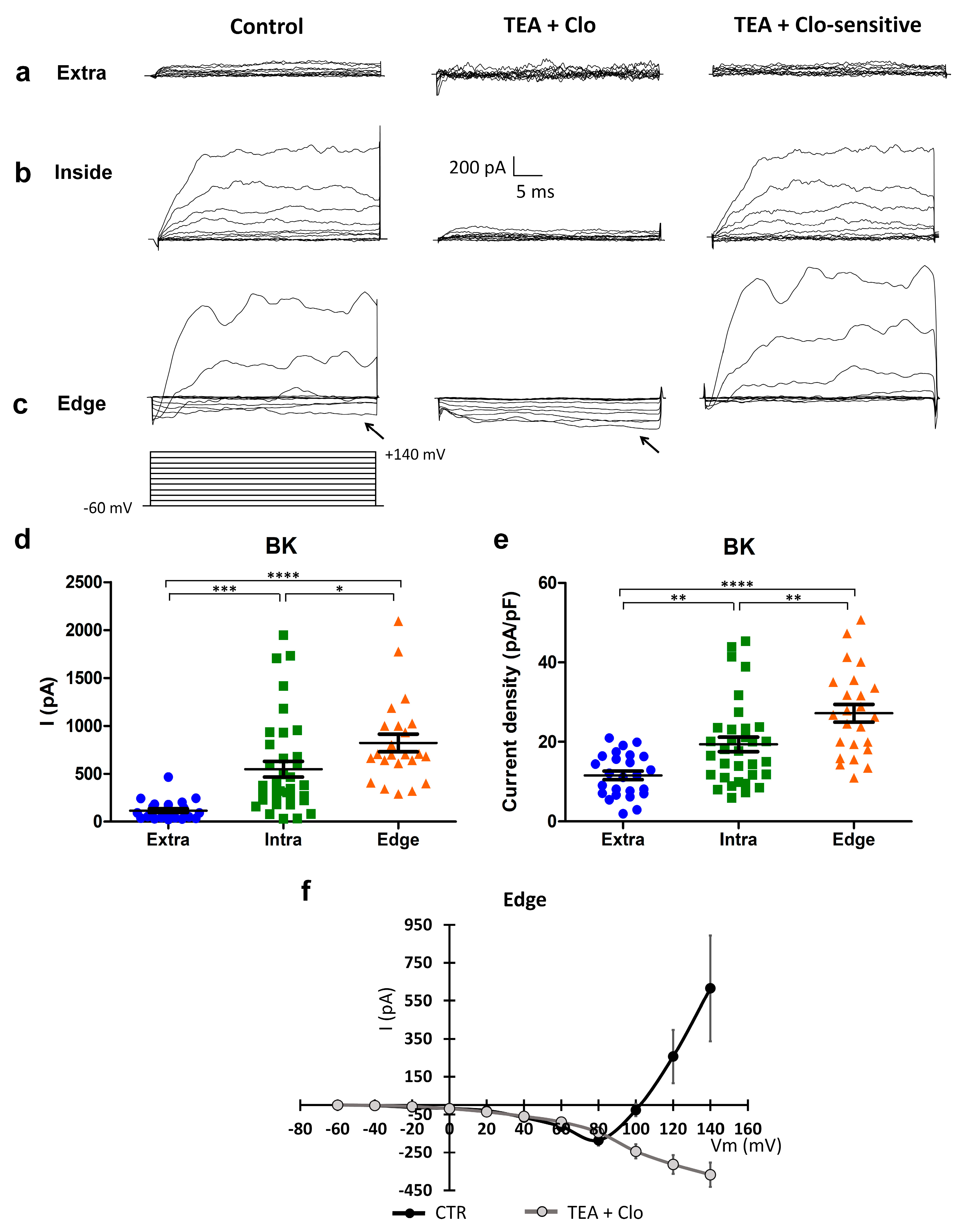 Ijms 24 12673 g004 Ijms 24 12673 g004