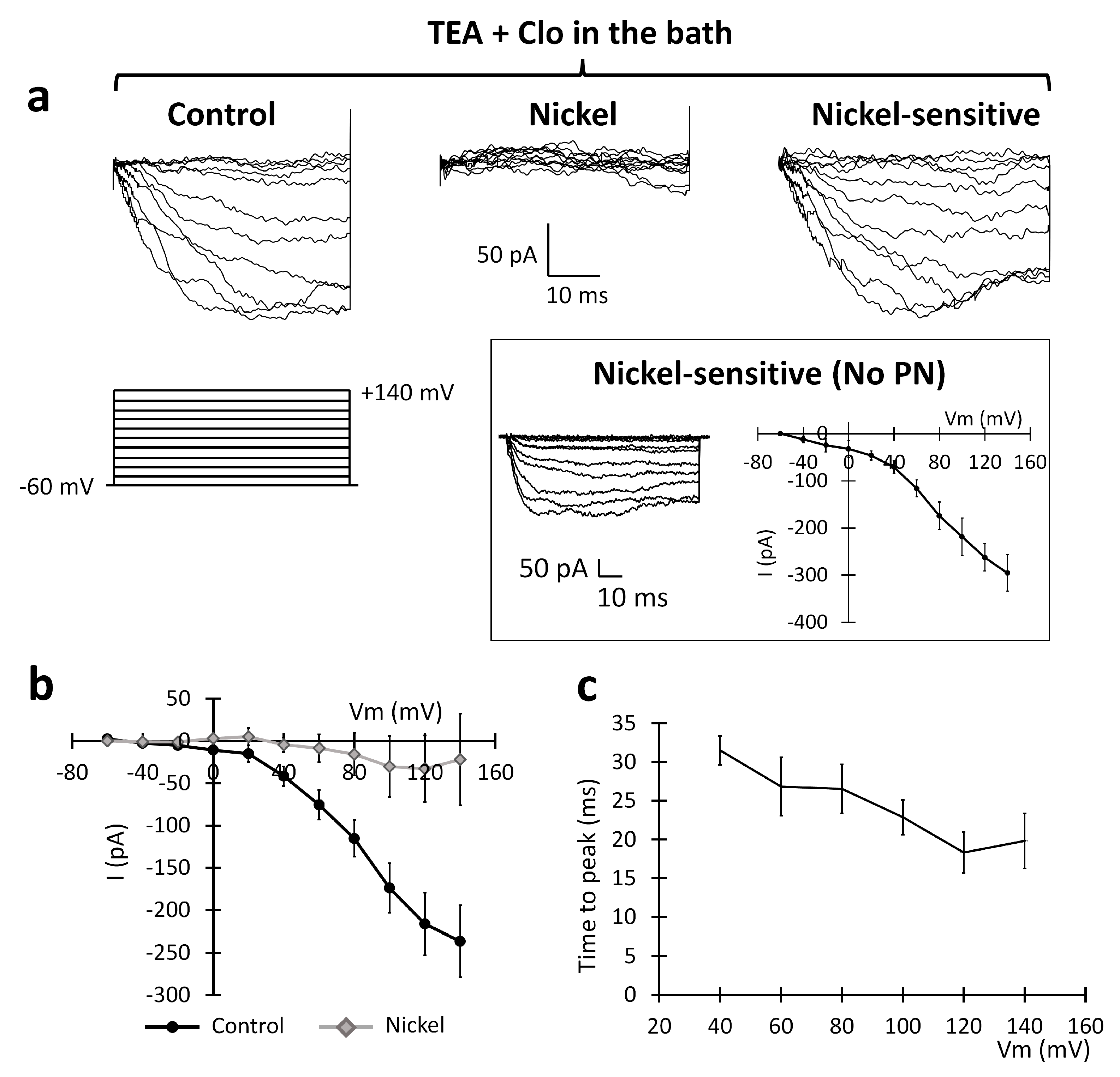 Ijms 24 12673 g007 Ijms 24 12673 g007