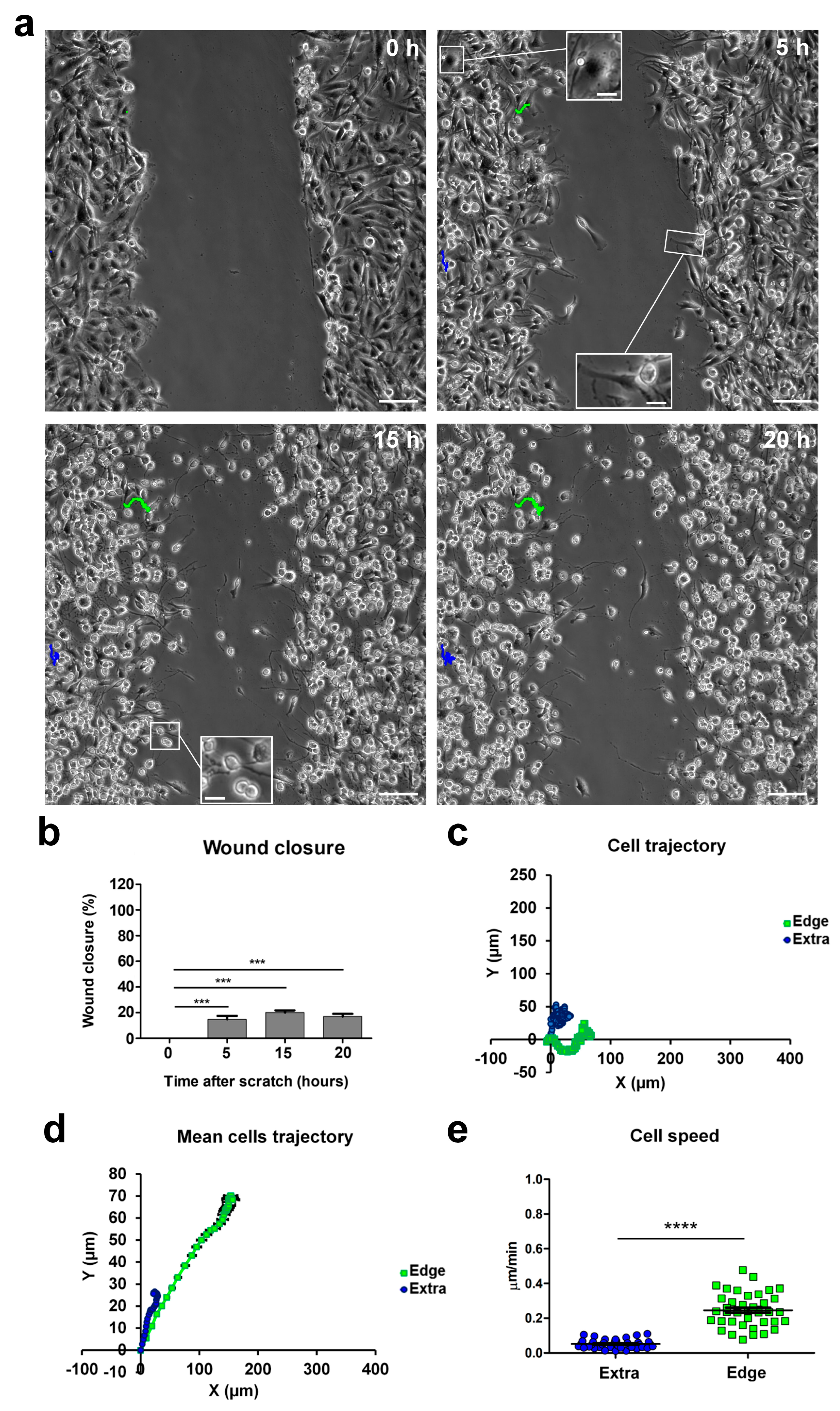 Ijms 24 12673 g014 Ijms 24 12673 g014