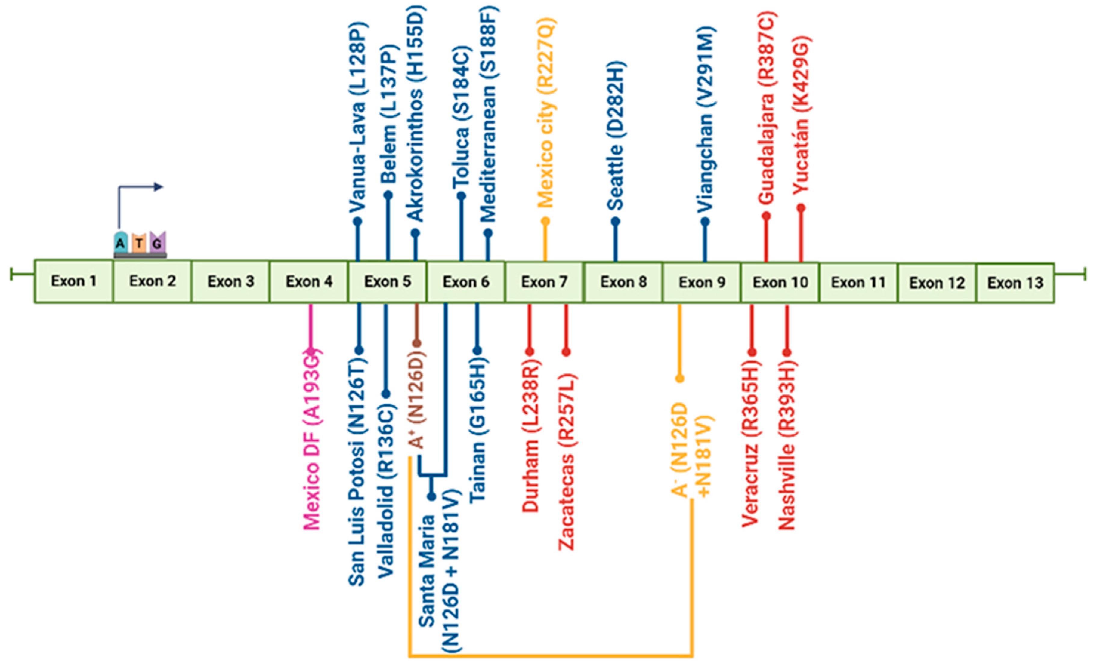 Ijms 24 12691 g002 Ijms 24 12691 g002