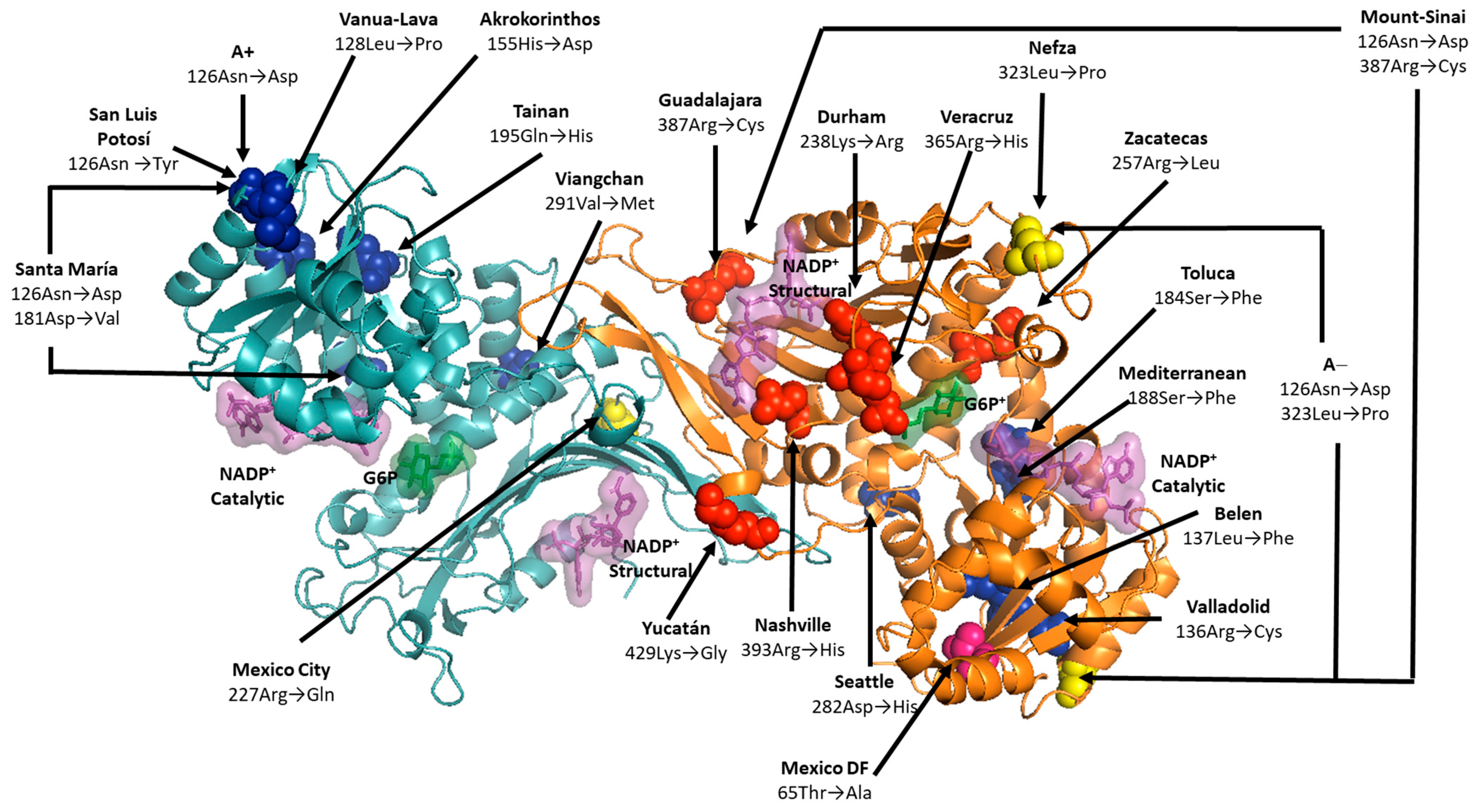 Ijms 24 12691 g004 Ijms 24 12691 g004