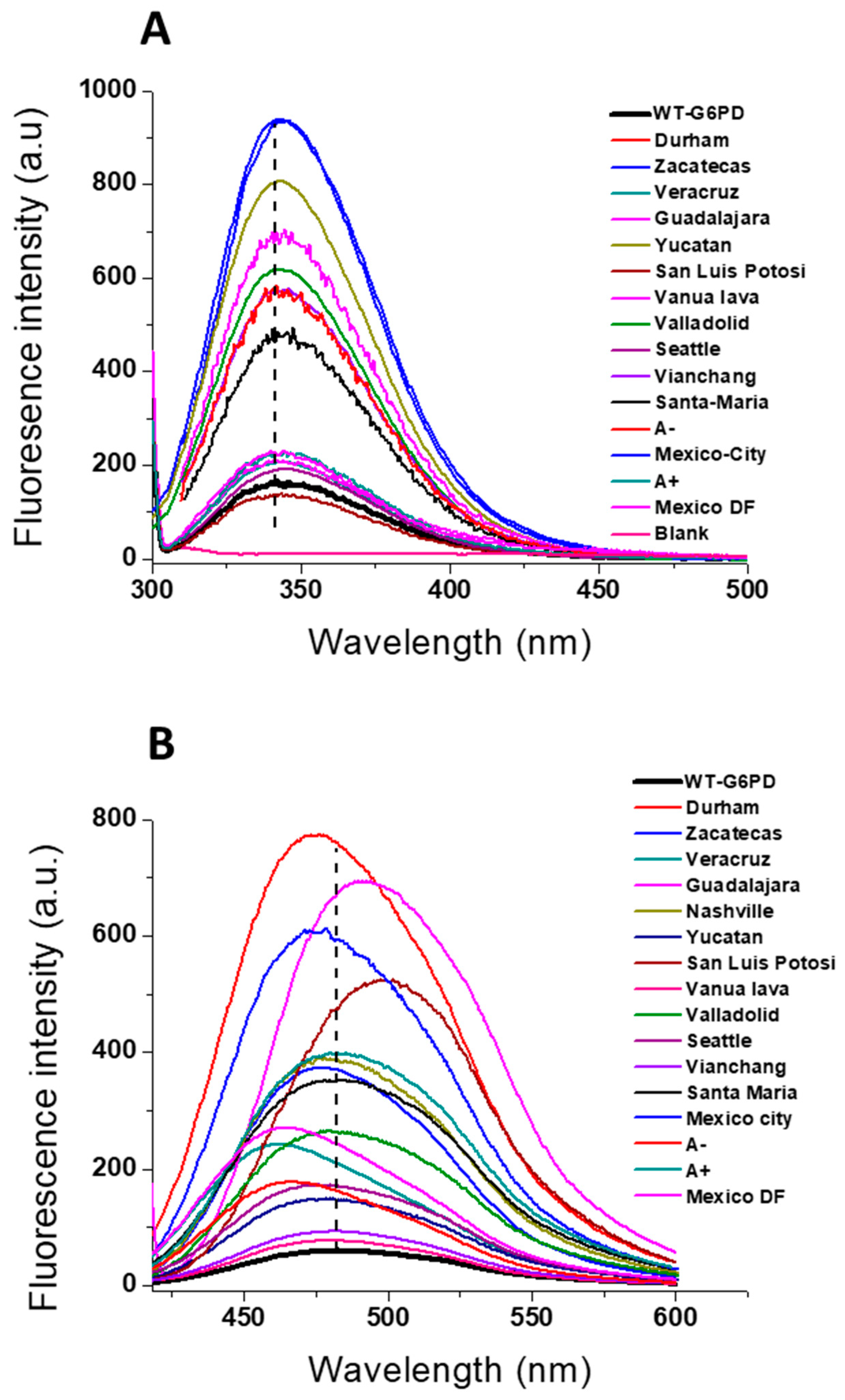 Ijms 24 12691 g008 Ijms 24 12691 g008