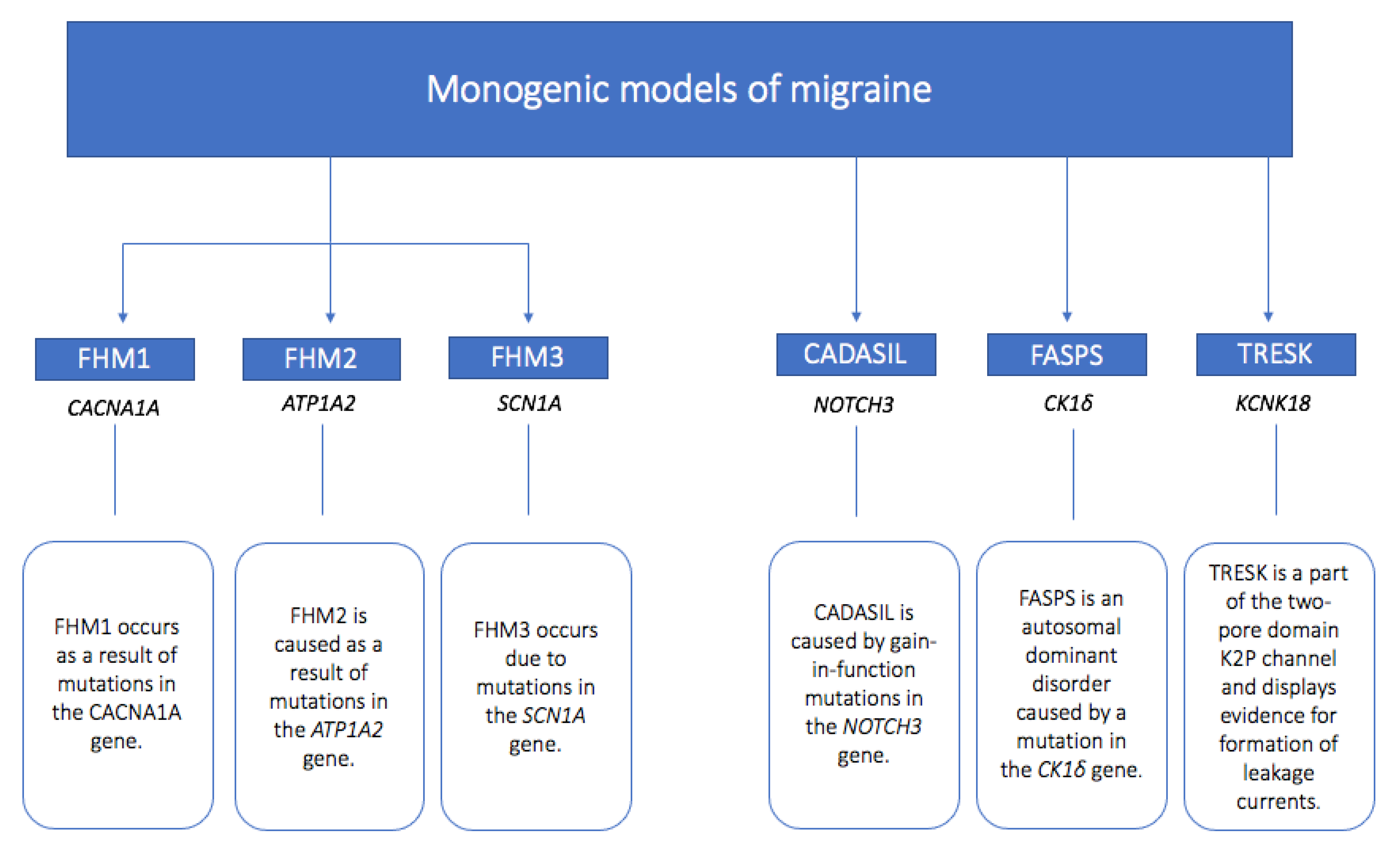 Migraine Headache  Concise Medical Knowledge