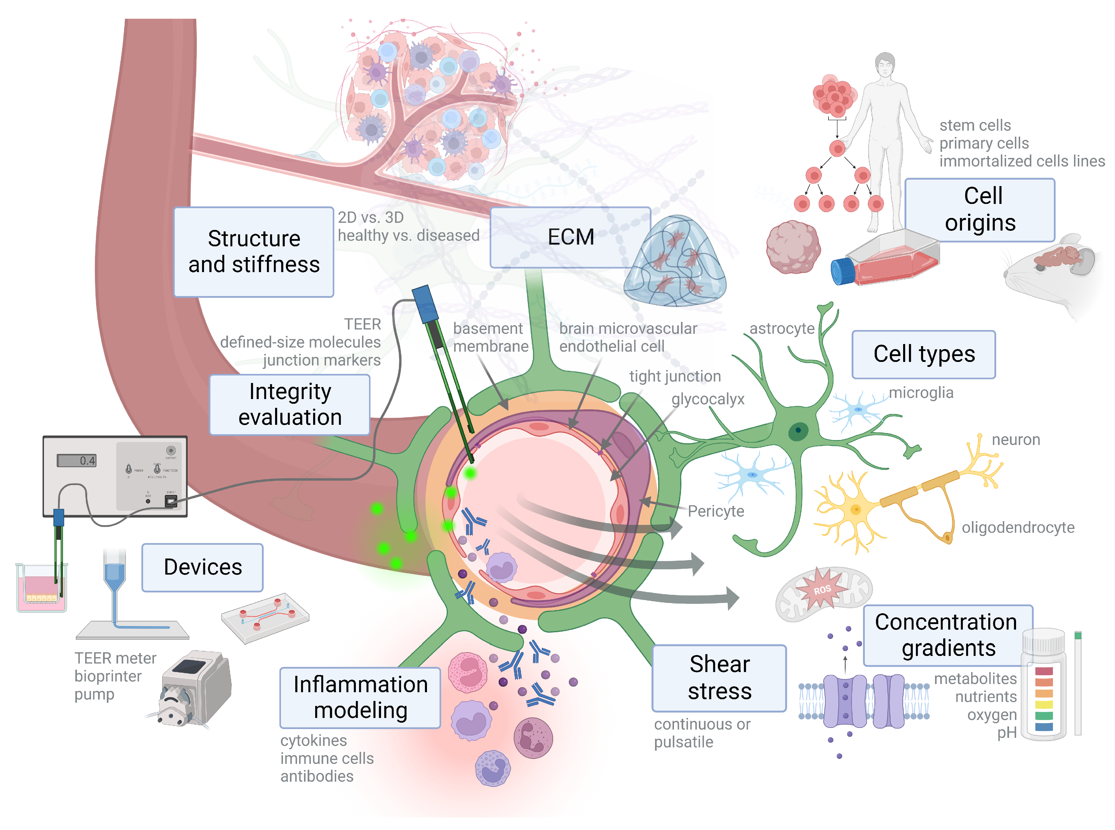 Ijms 24 12699 g001 Ijms 24 12699 g001